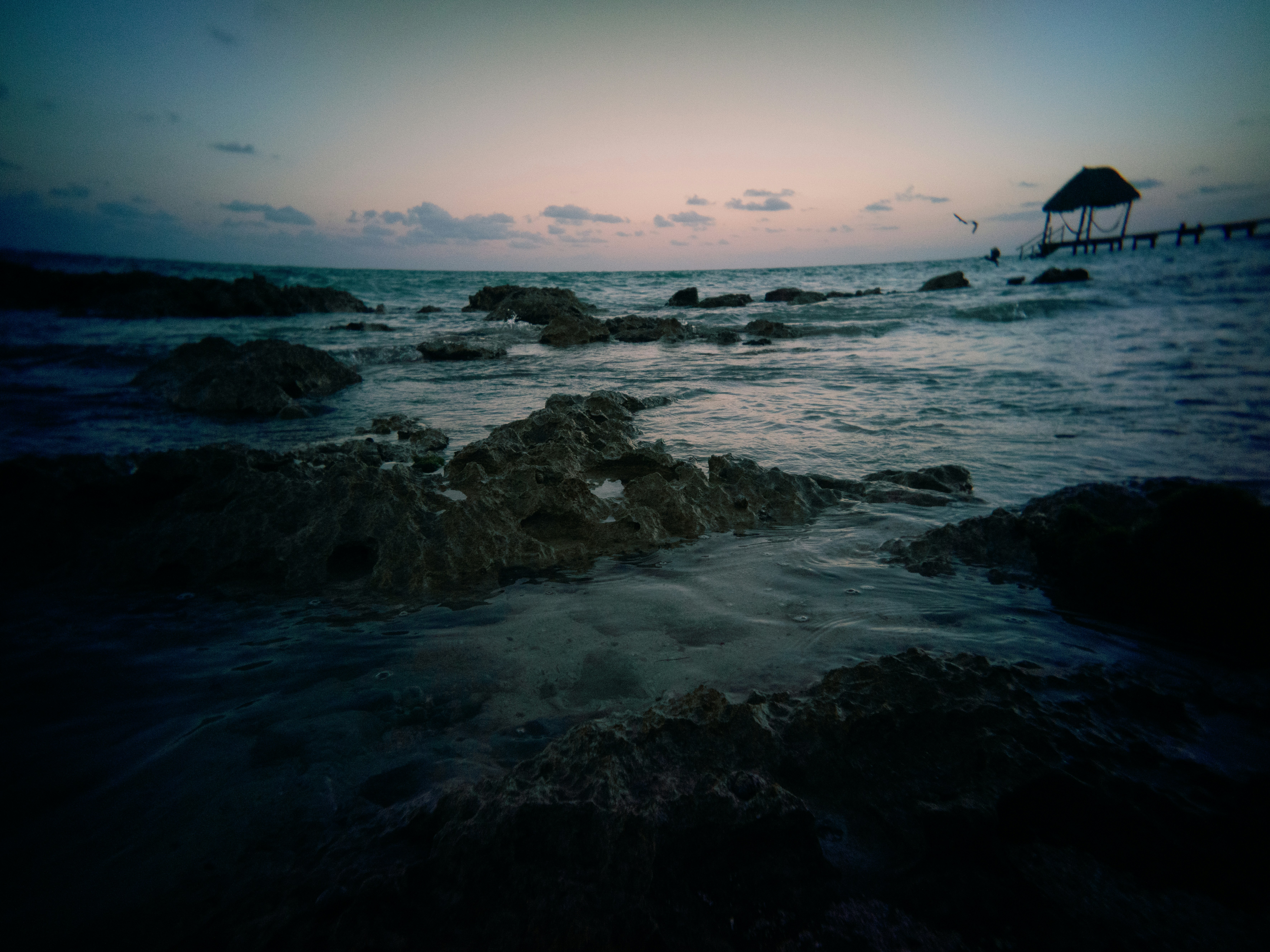 Photo by karl333