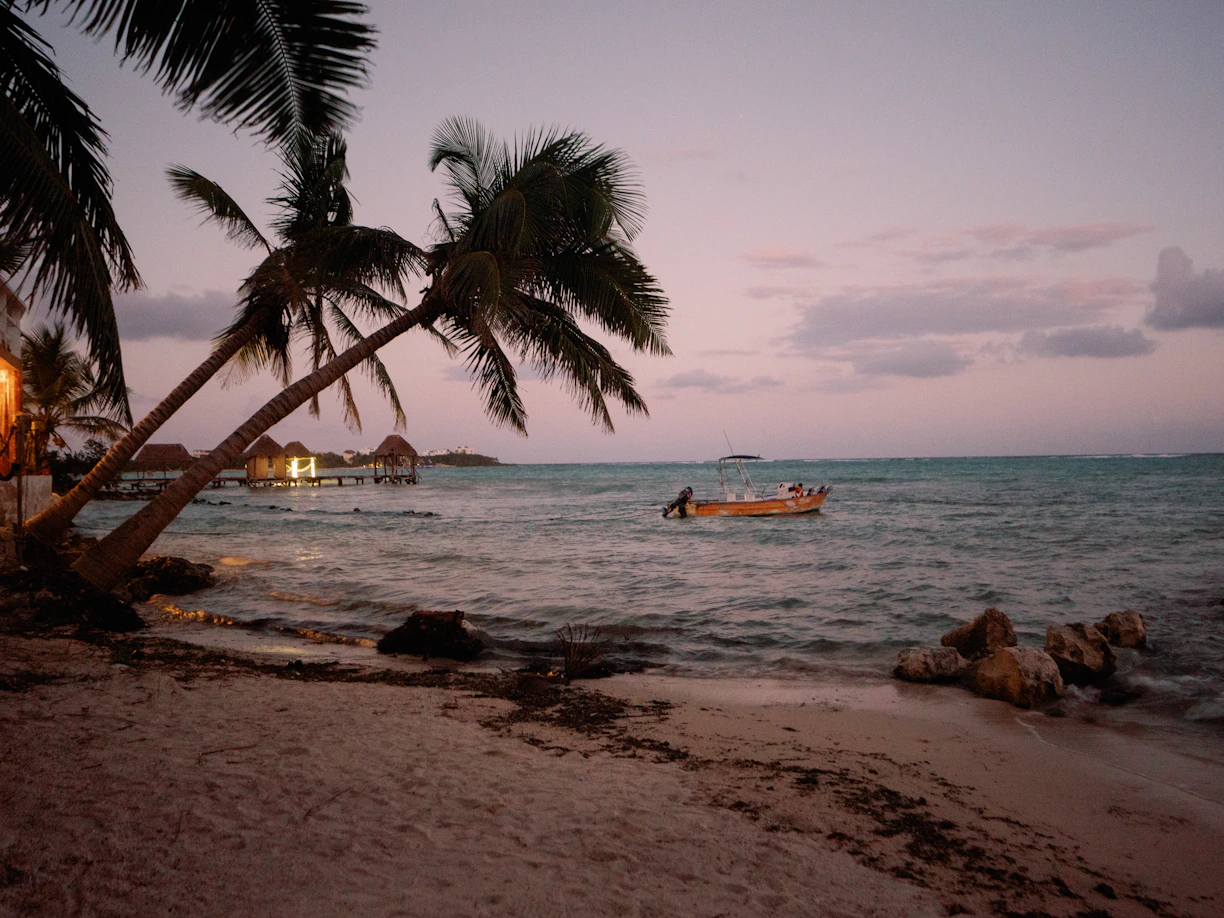 A boat is in the water near a beach