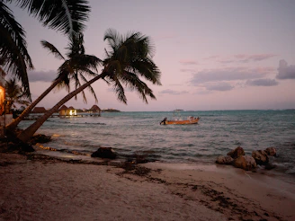 A boat is in the water near a beach