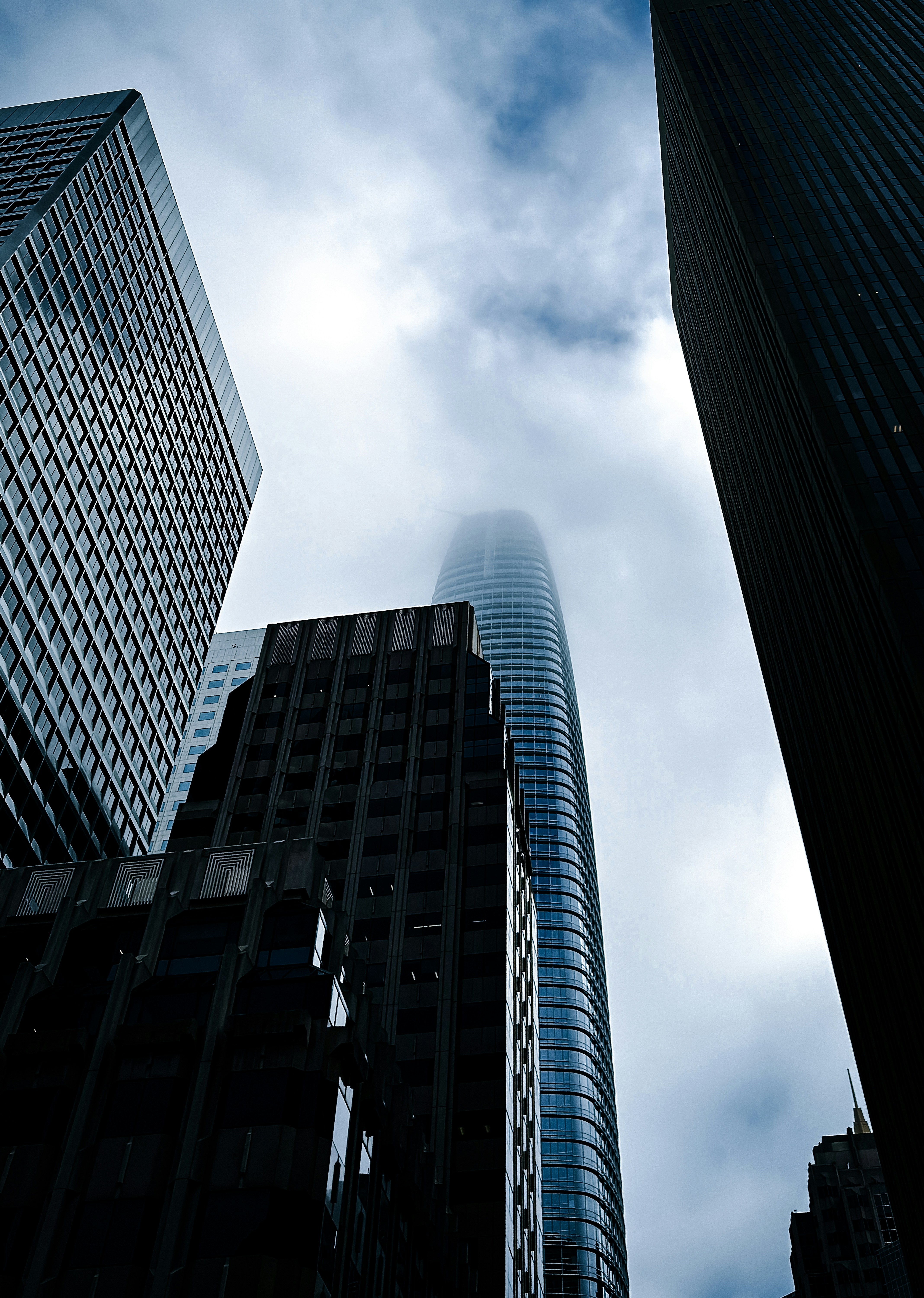 Photo by kalaniparker