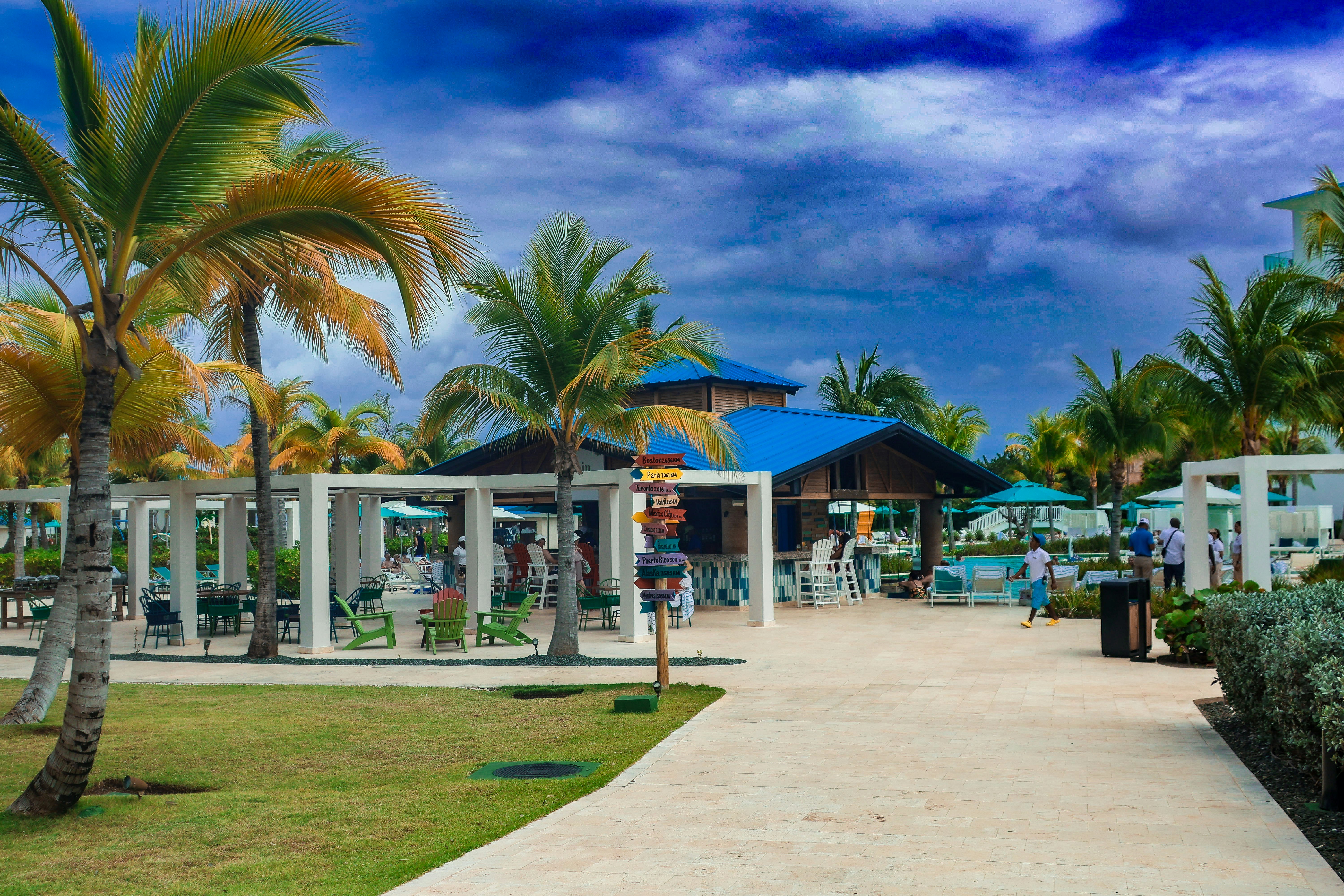 A walkway leading to a beach with palm trees