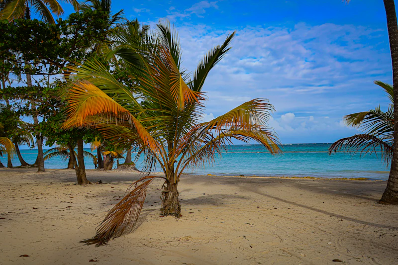 La playa de Juanillo, en Cap Cana