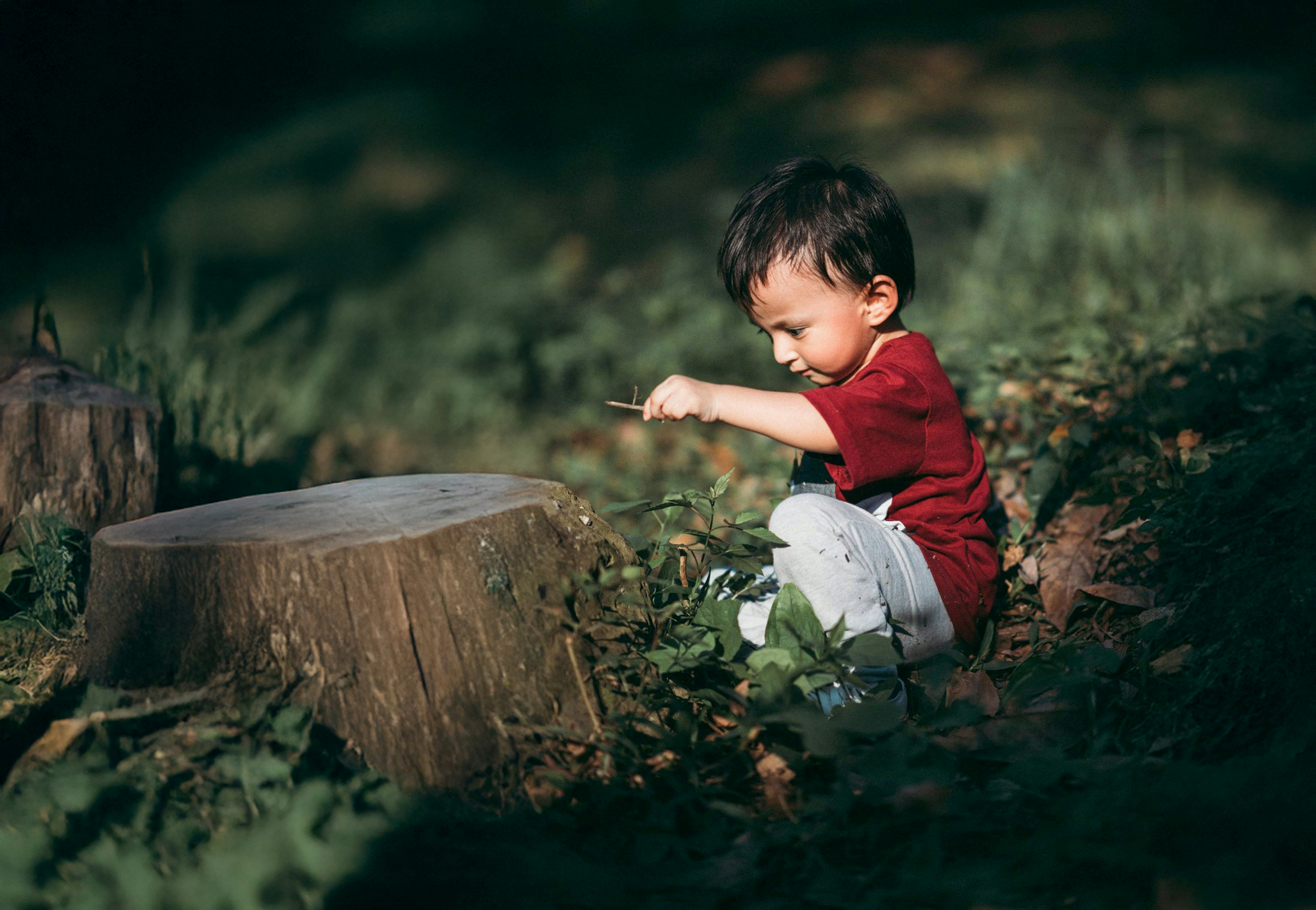 Photo by pekeshorked