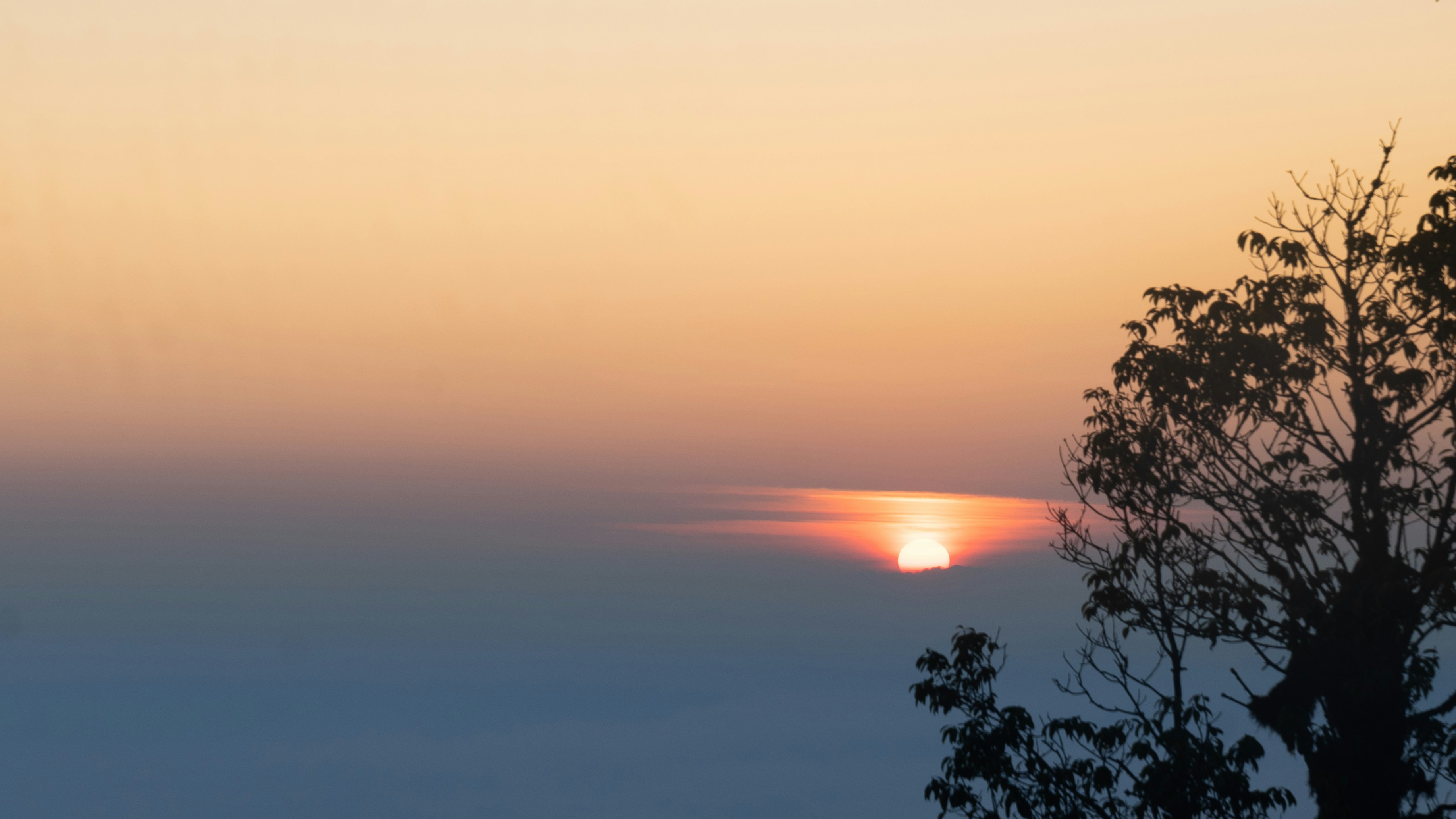 Photo by seoling