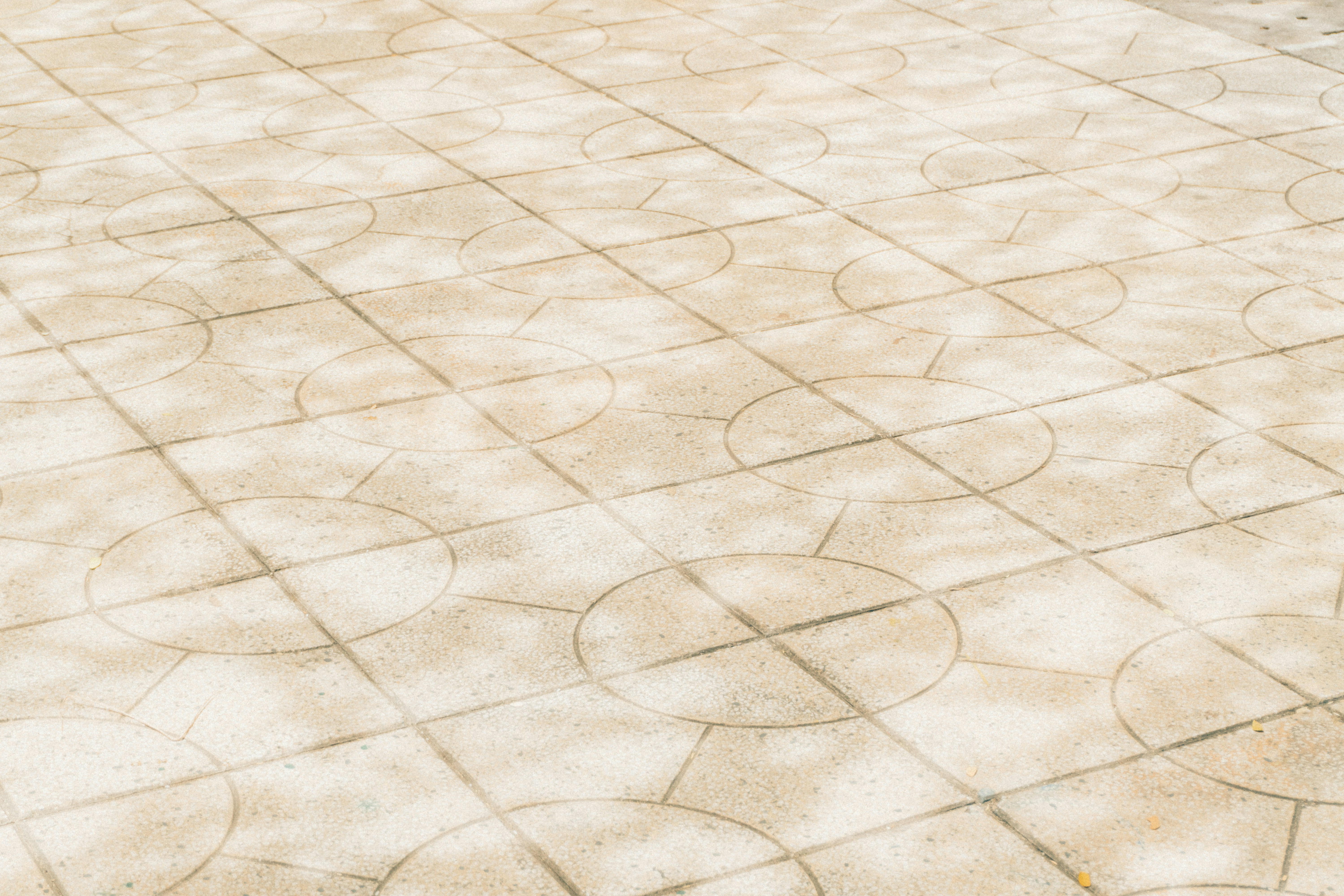 Photo by maivophucthanh