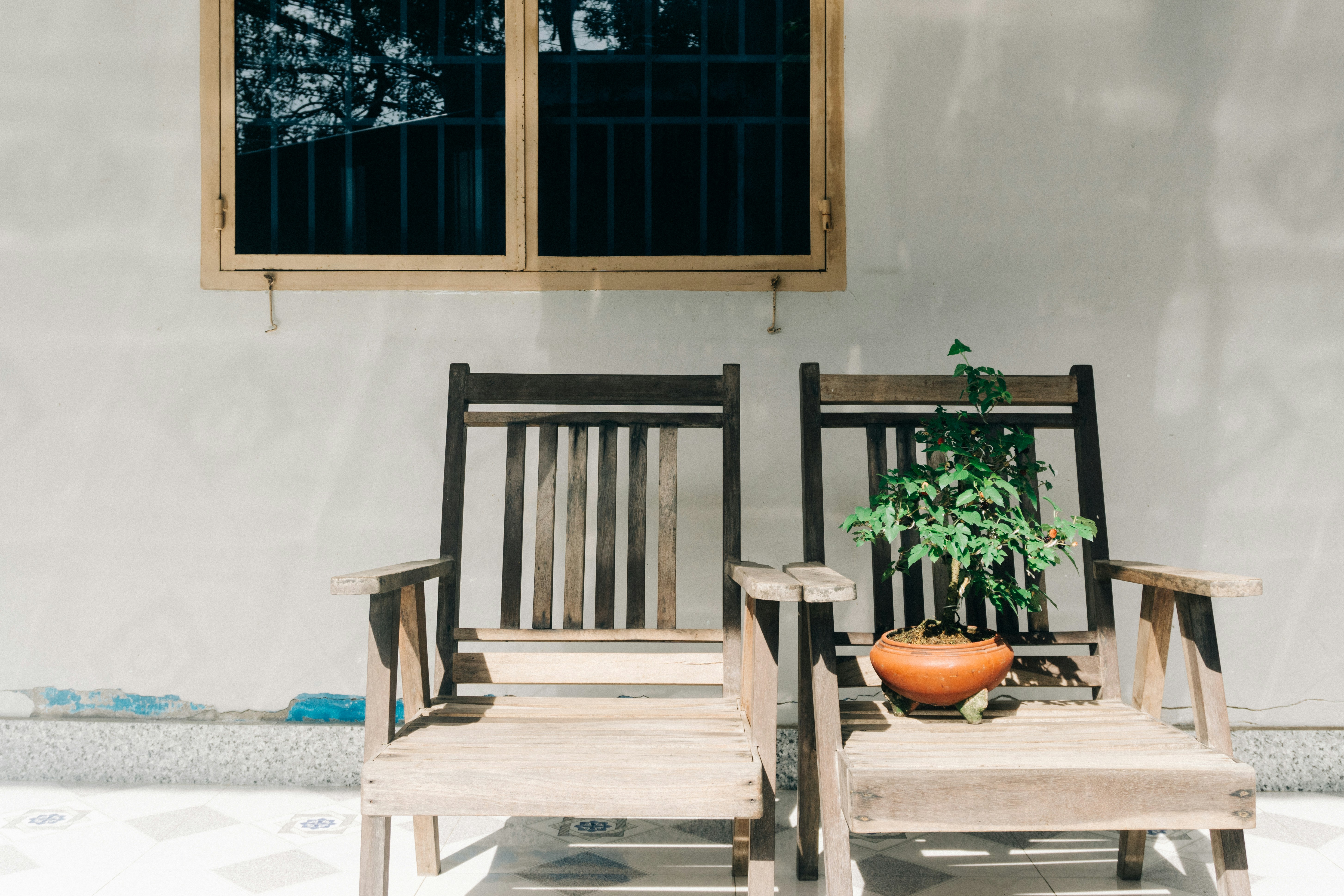 Photo by maivophucthanh