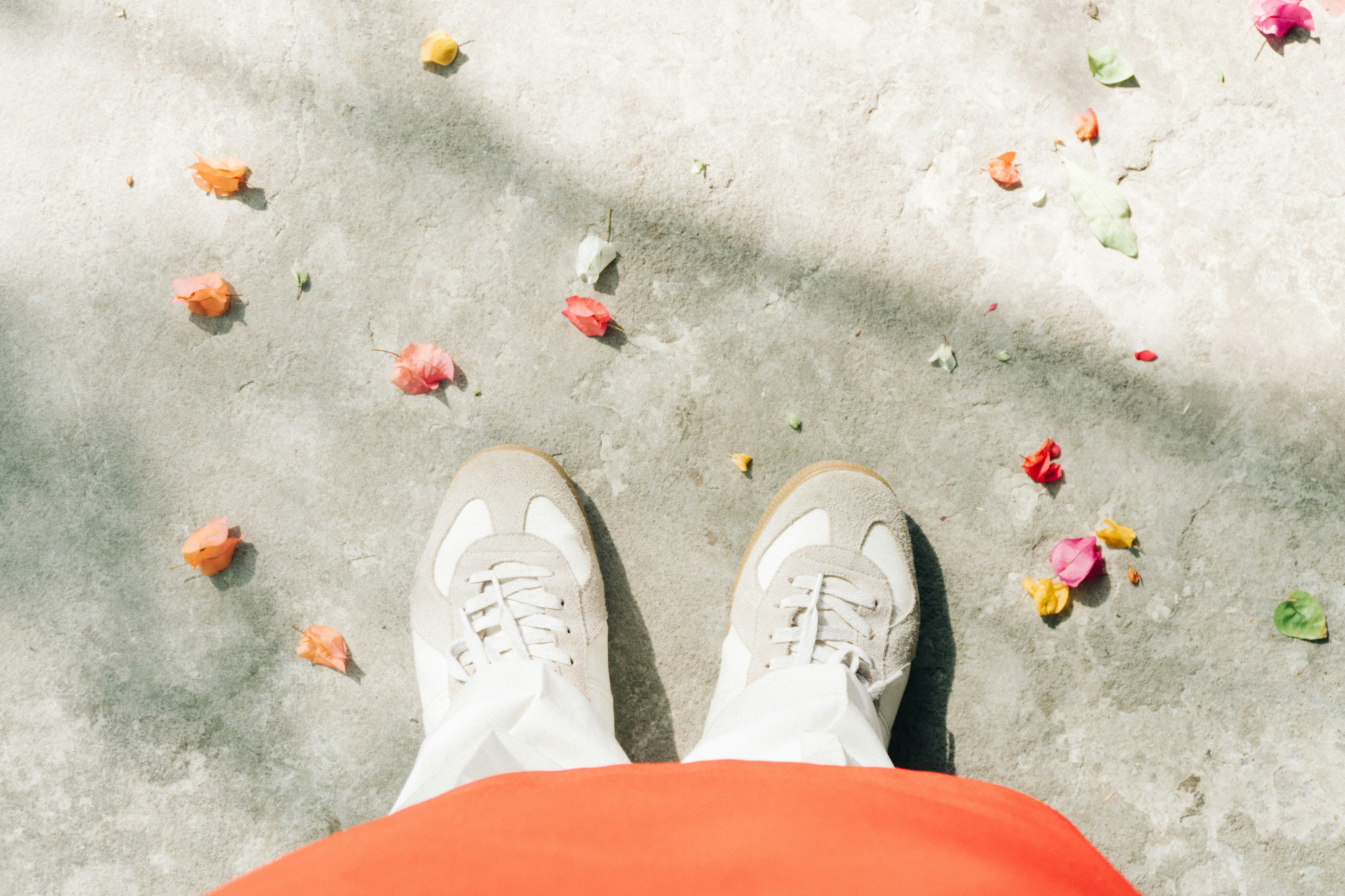 Photo by maivophucthanh