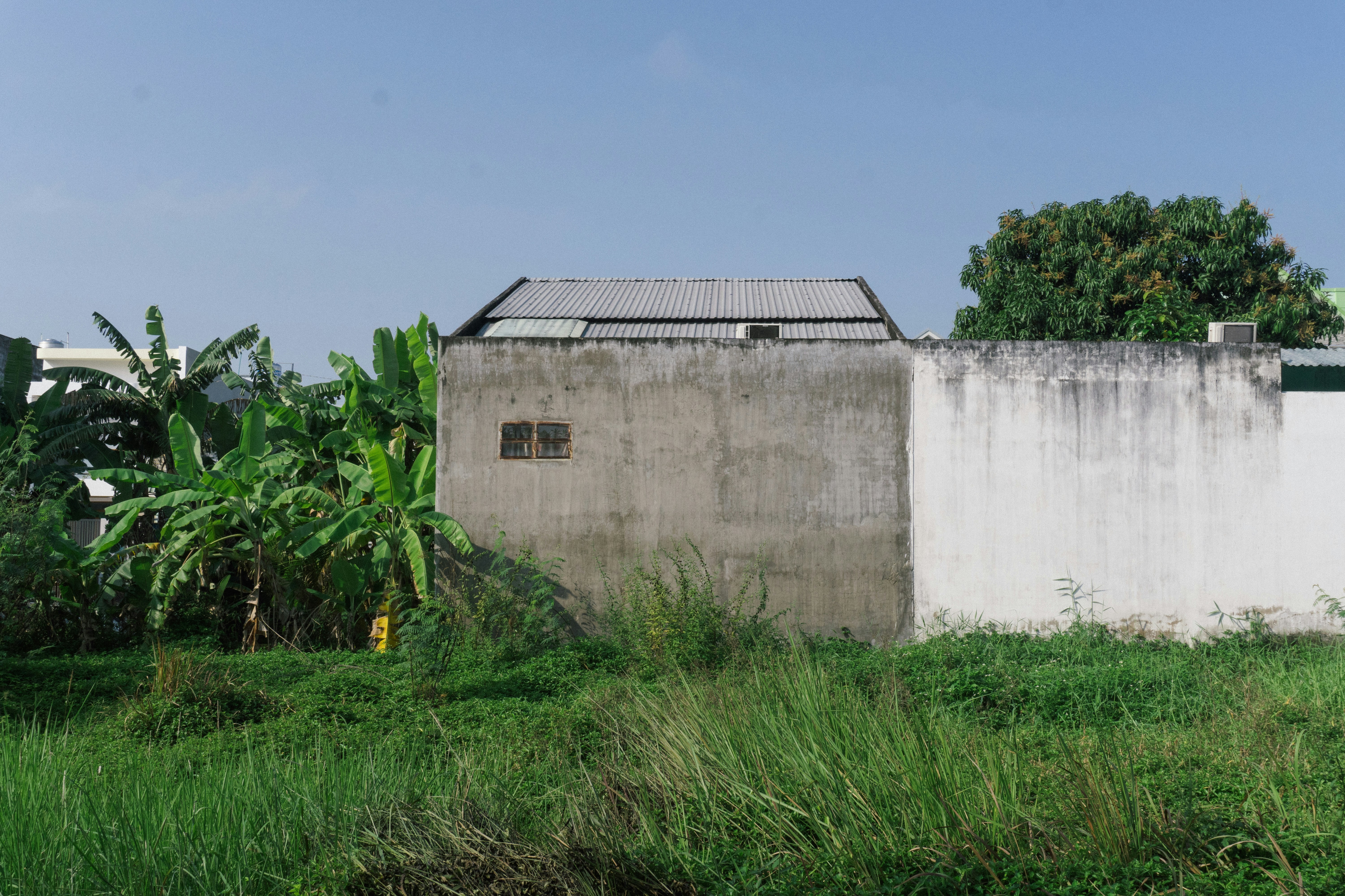 Photo by maivophucthanh