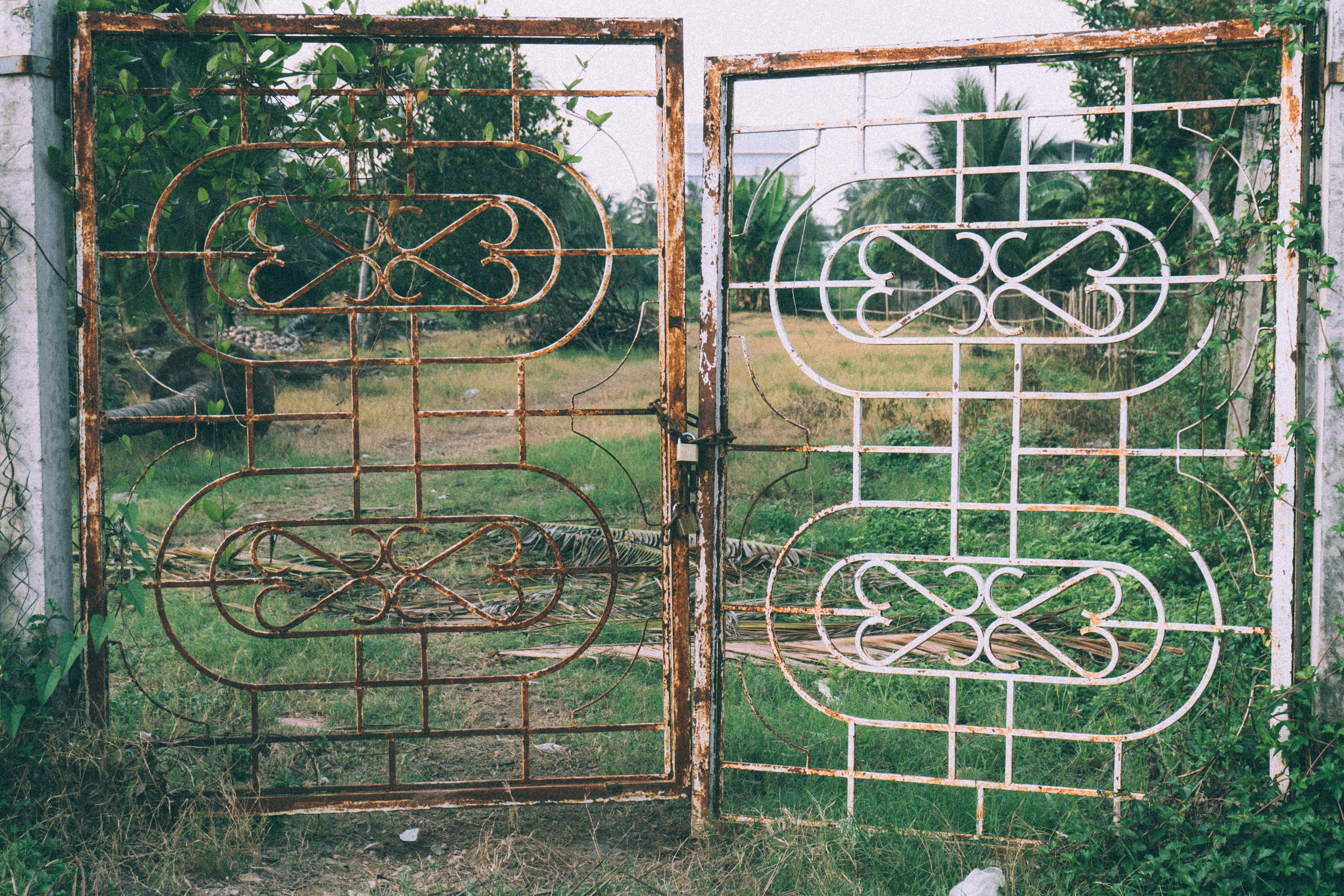 A couple of gates that are in the grass