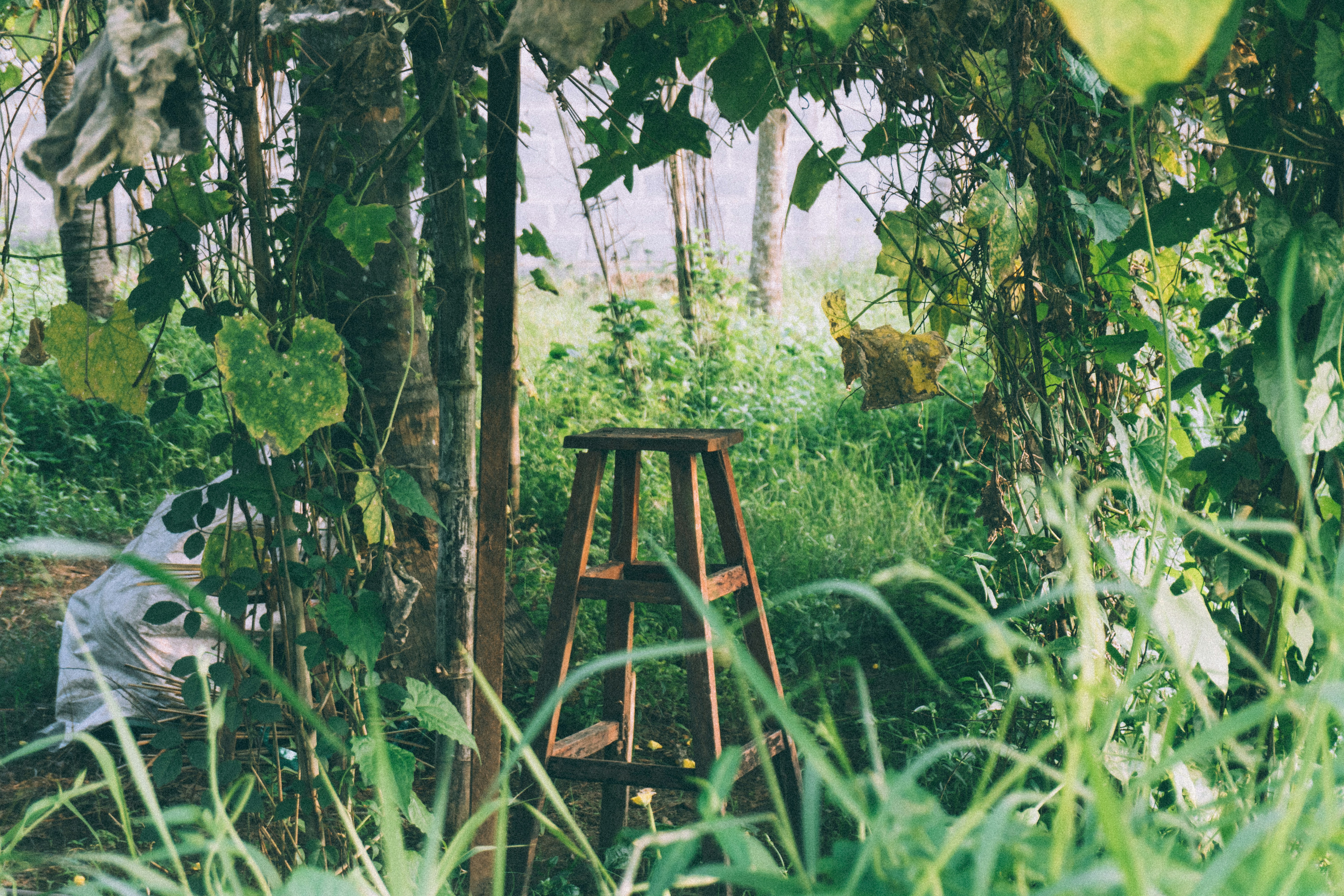 Photo by maivophucthanh