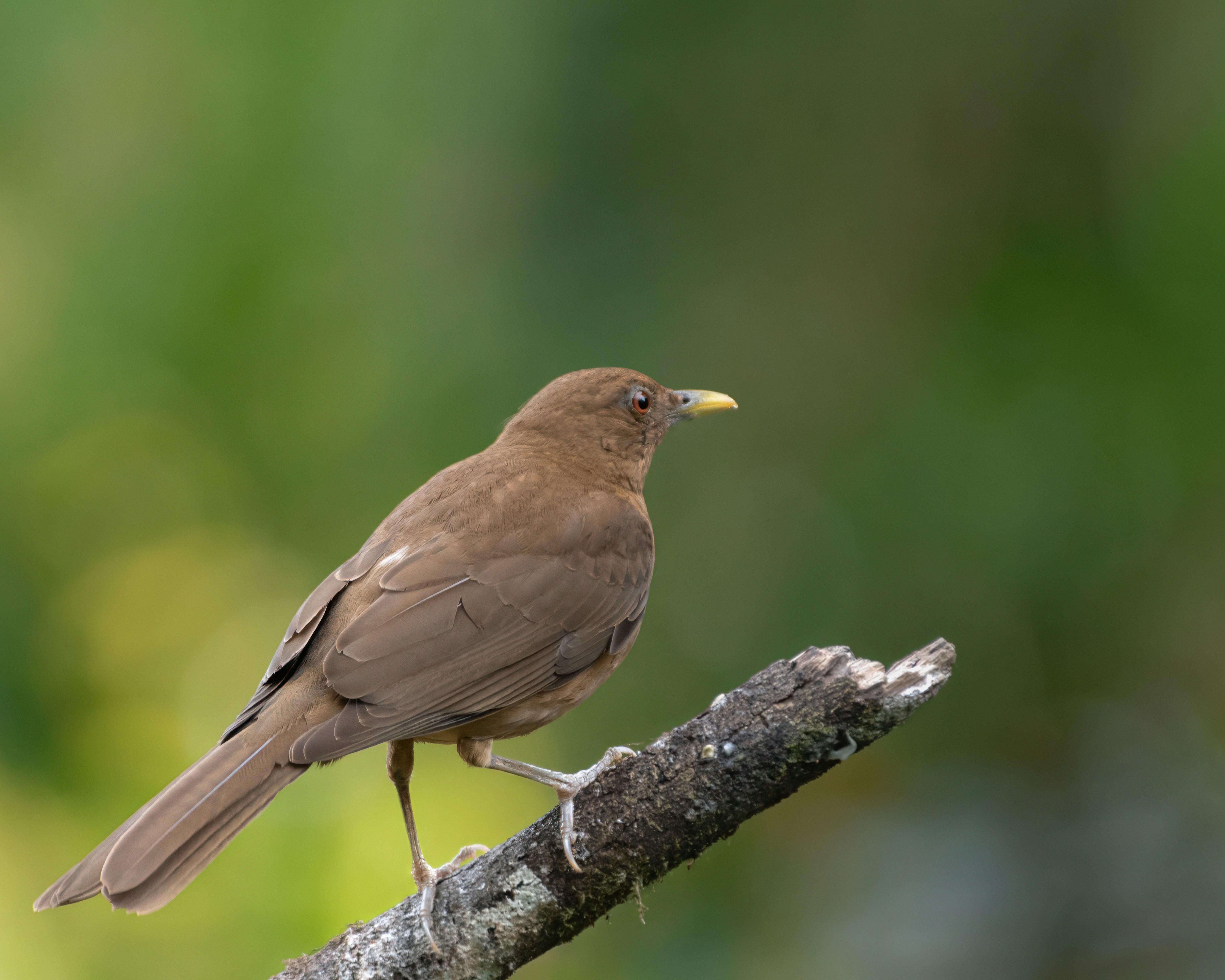 Photo by rob_bird_photography