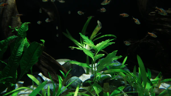 Aquarium très dense rempli de multiples plantes vertes et rouges