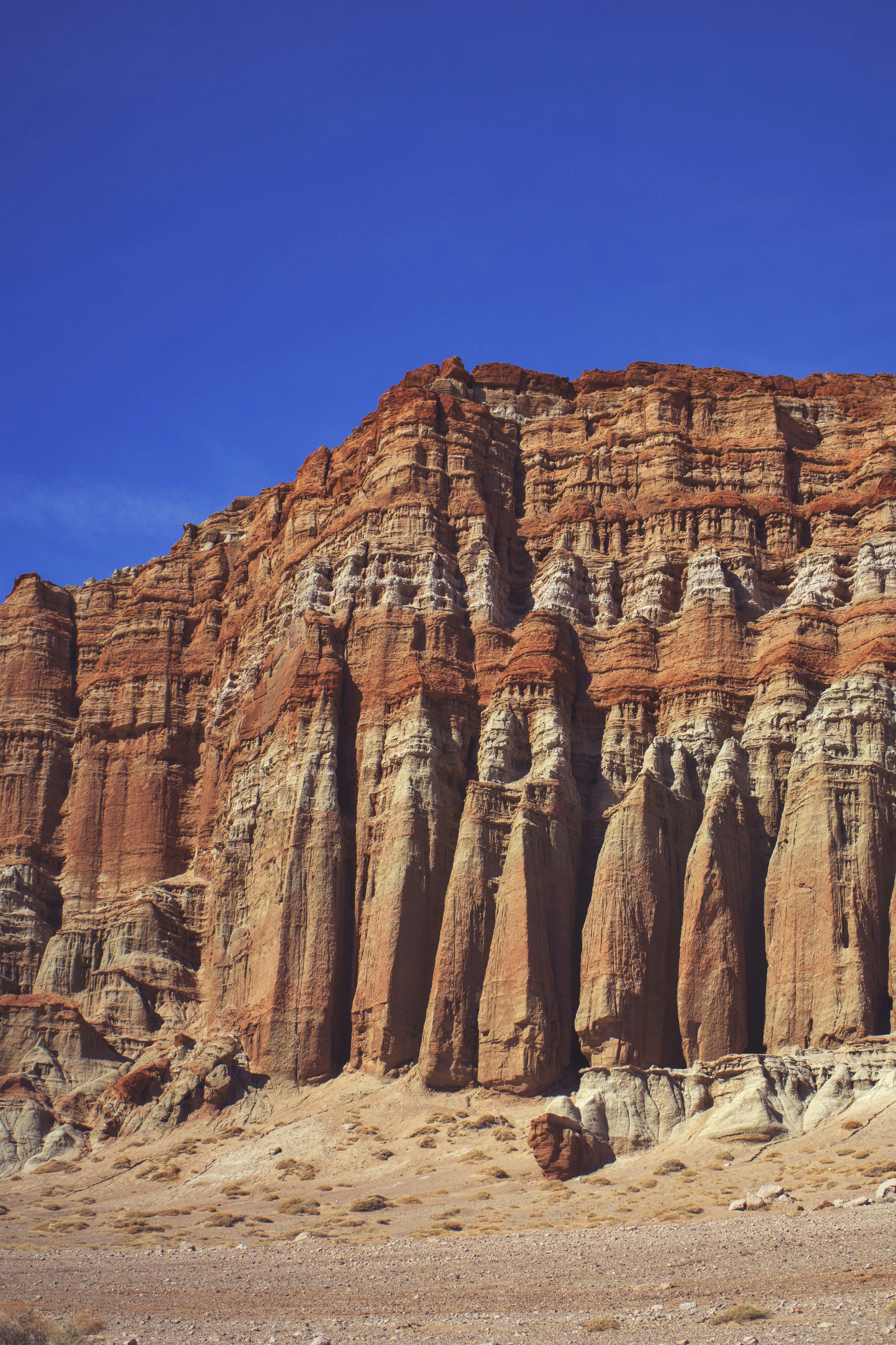 Photo by spencer_demera