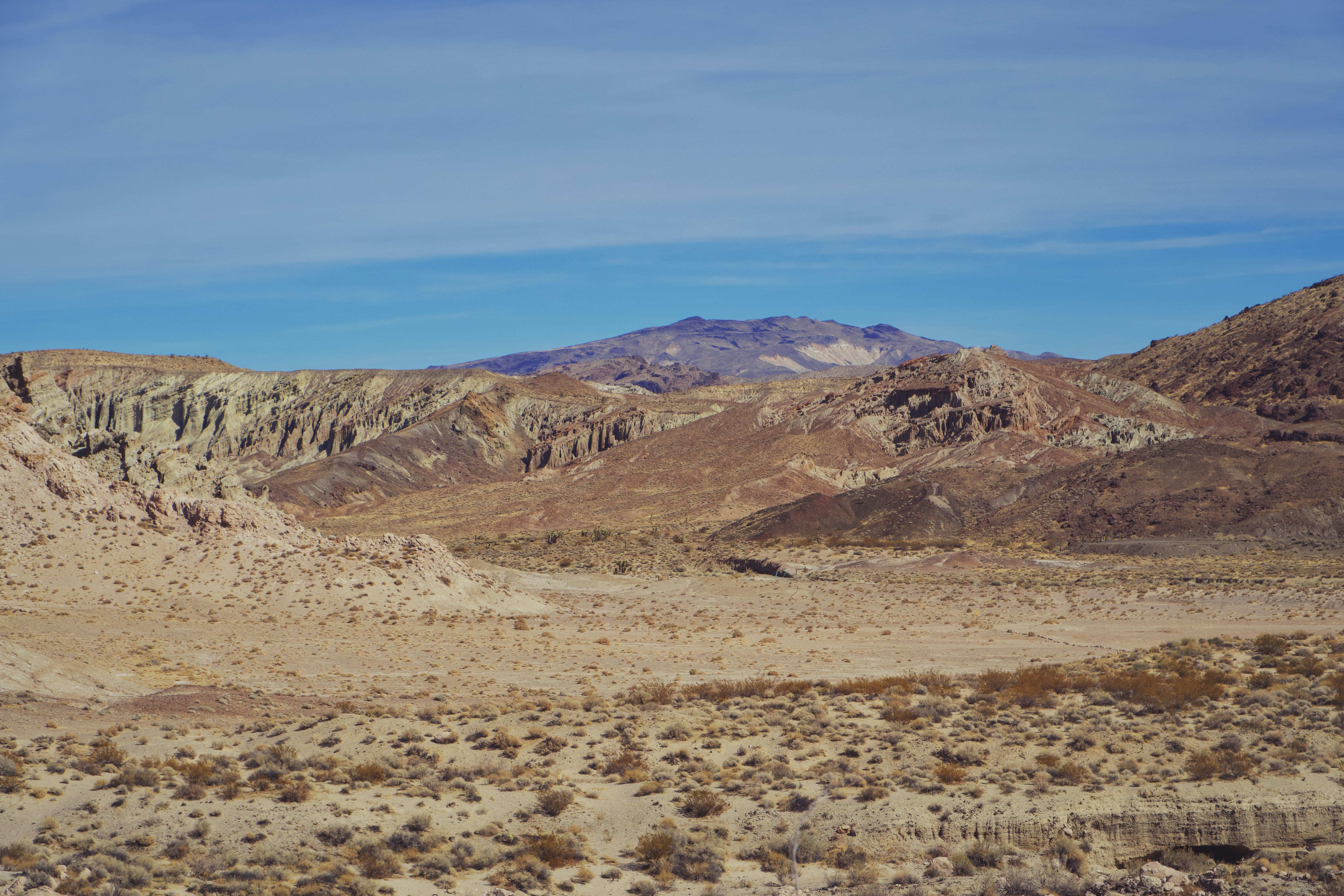 Photo by spencer_demera