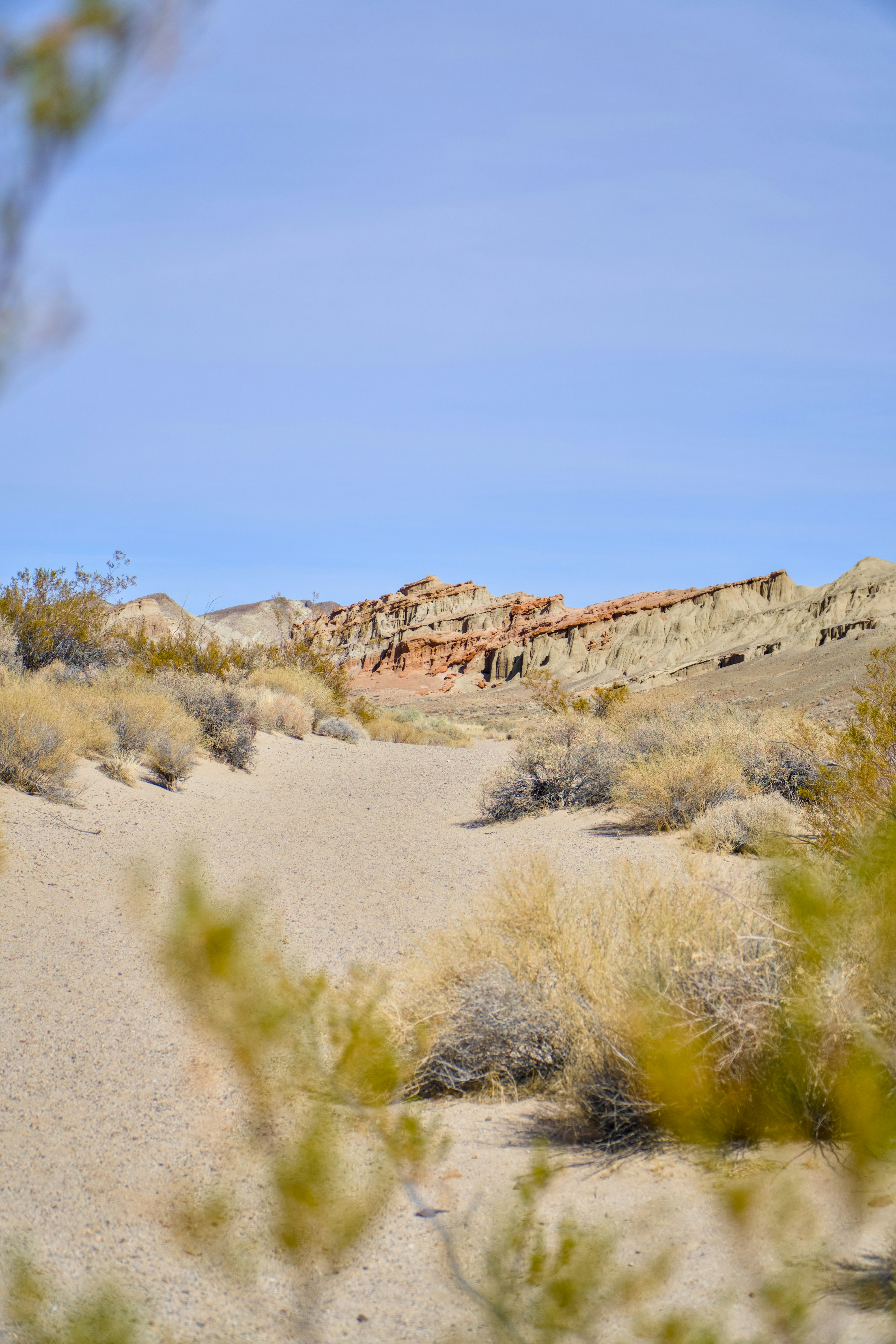 Photo by spencer_demera