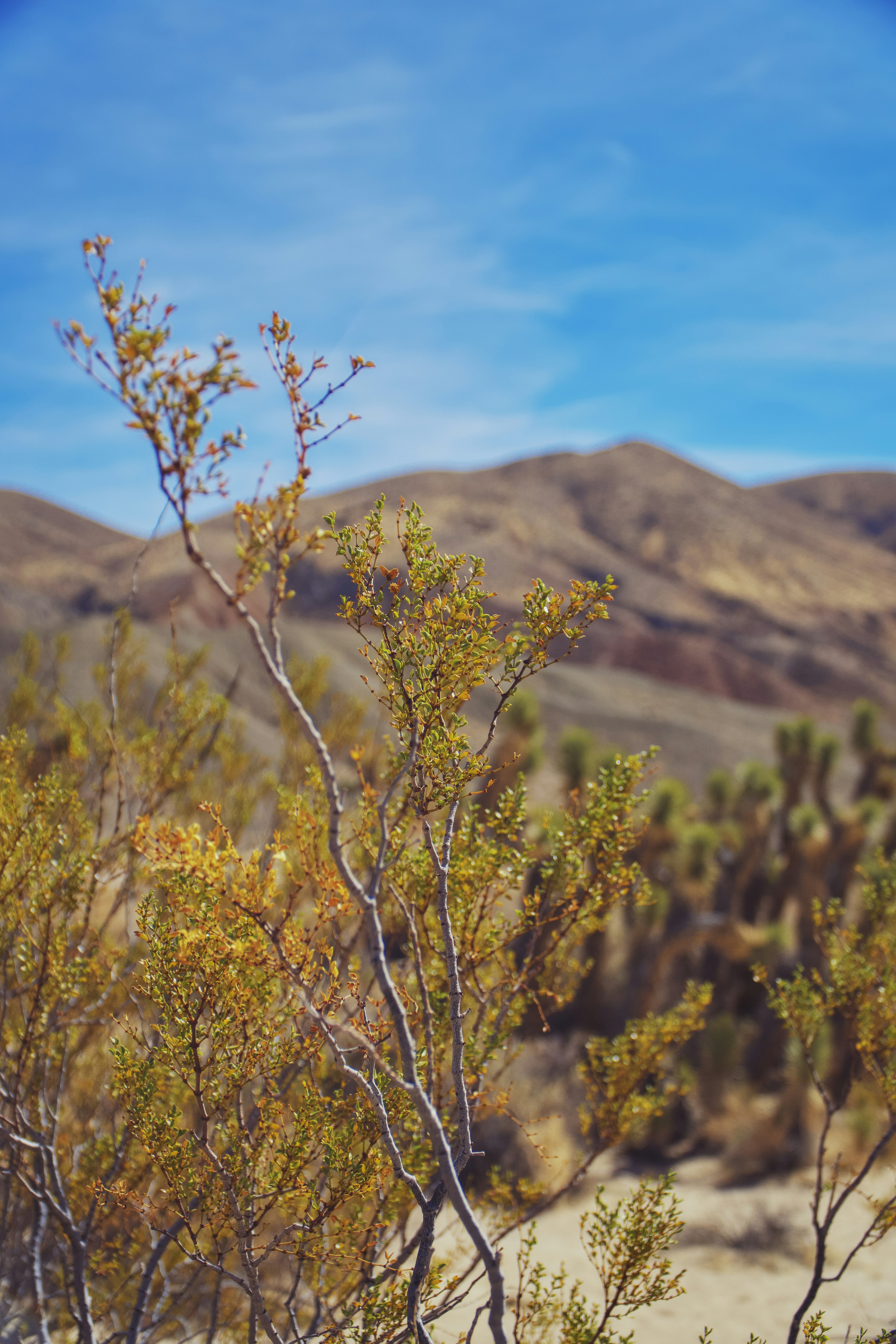 Photo by spencer_demera