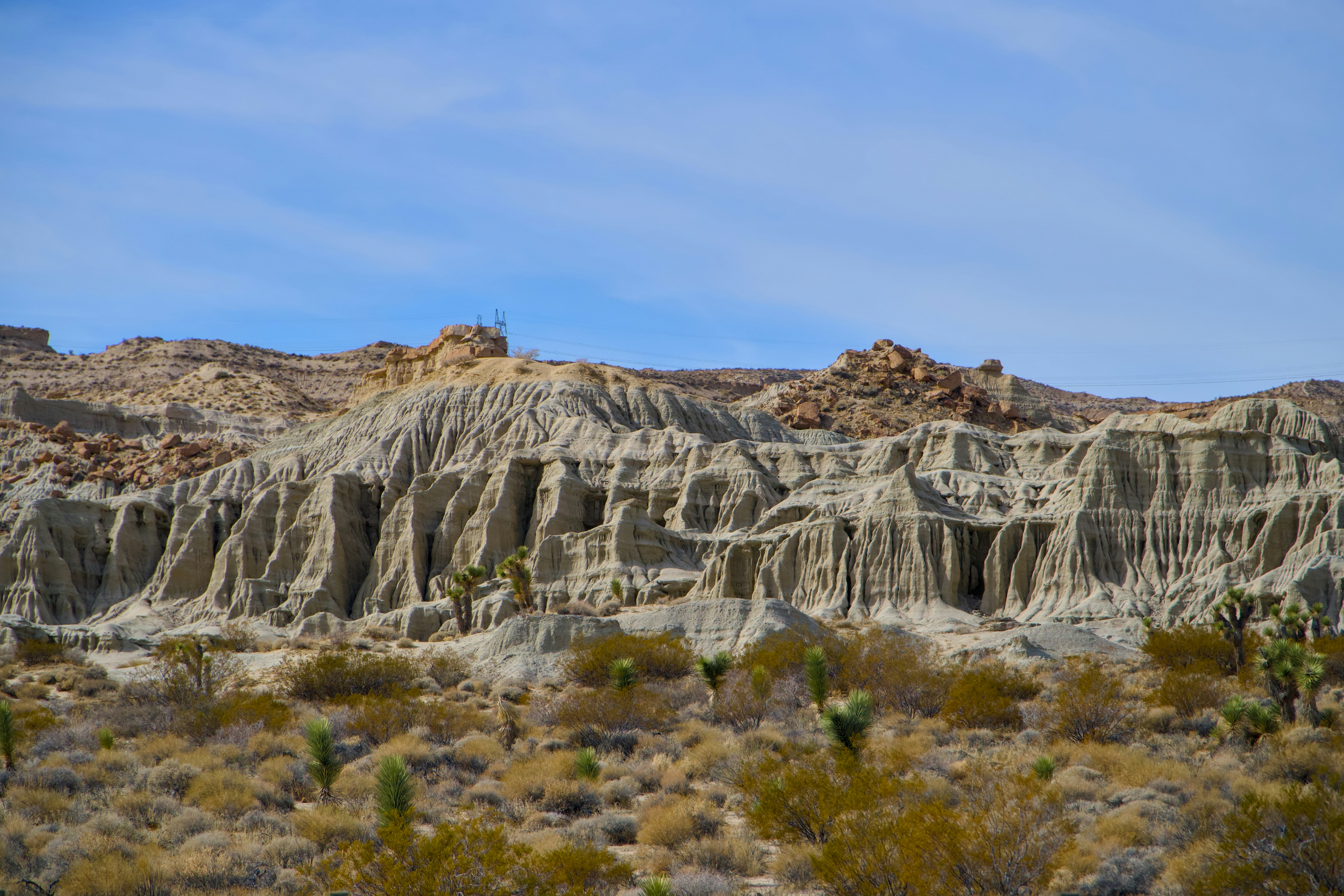 Photo by spencer_demera