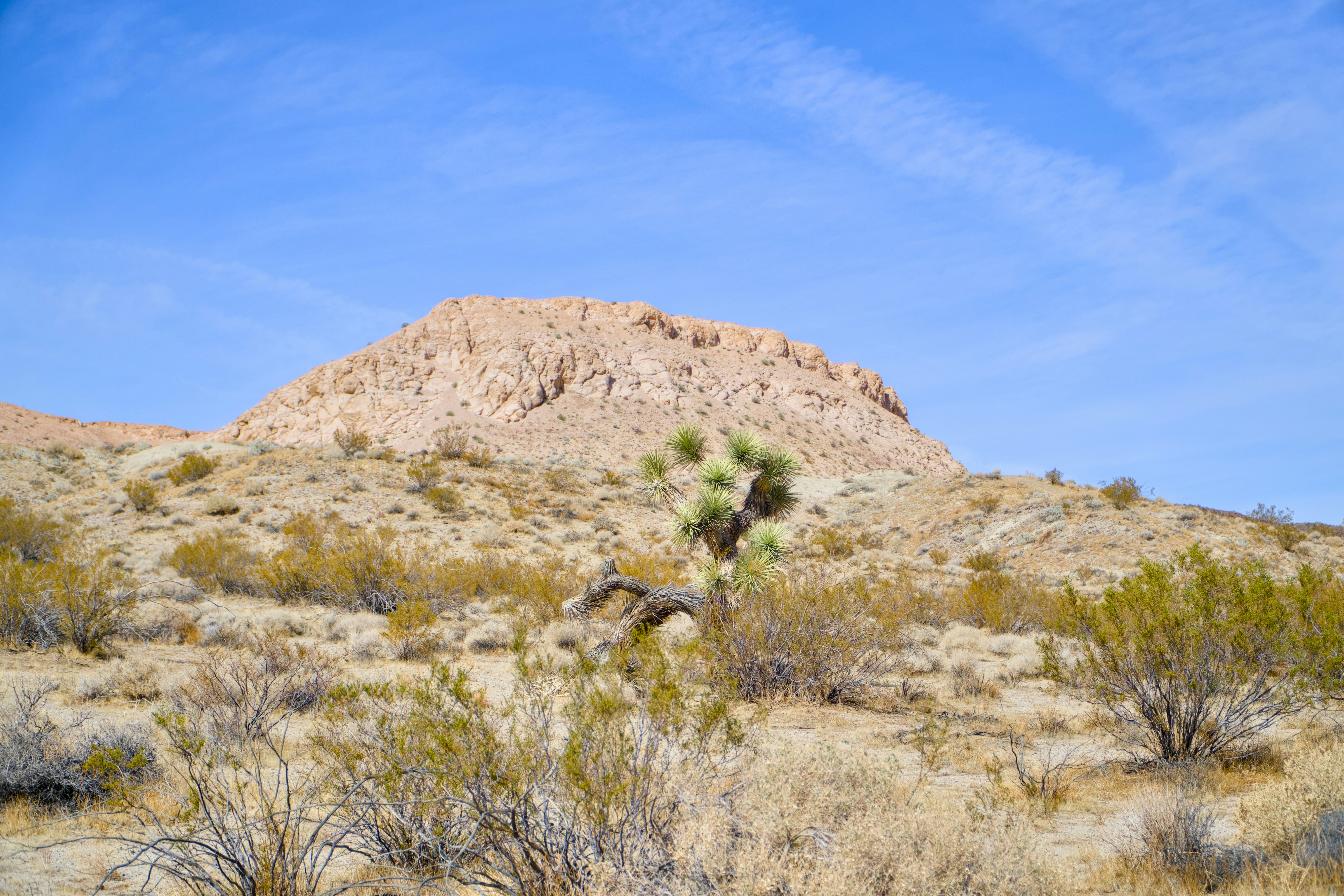 Photo by spencer_demera