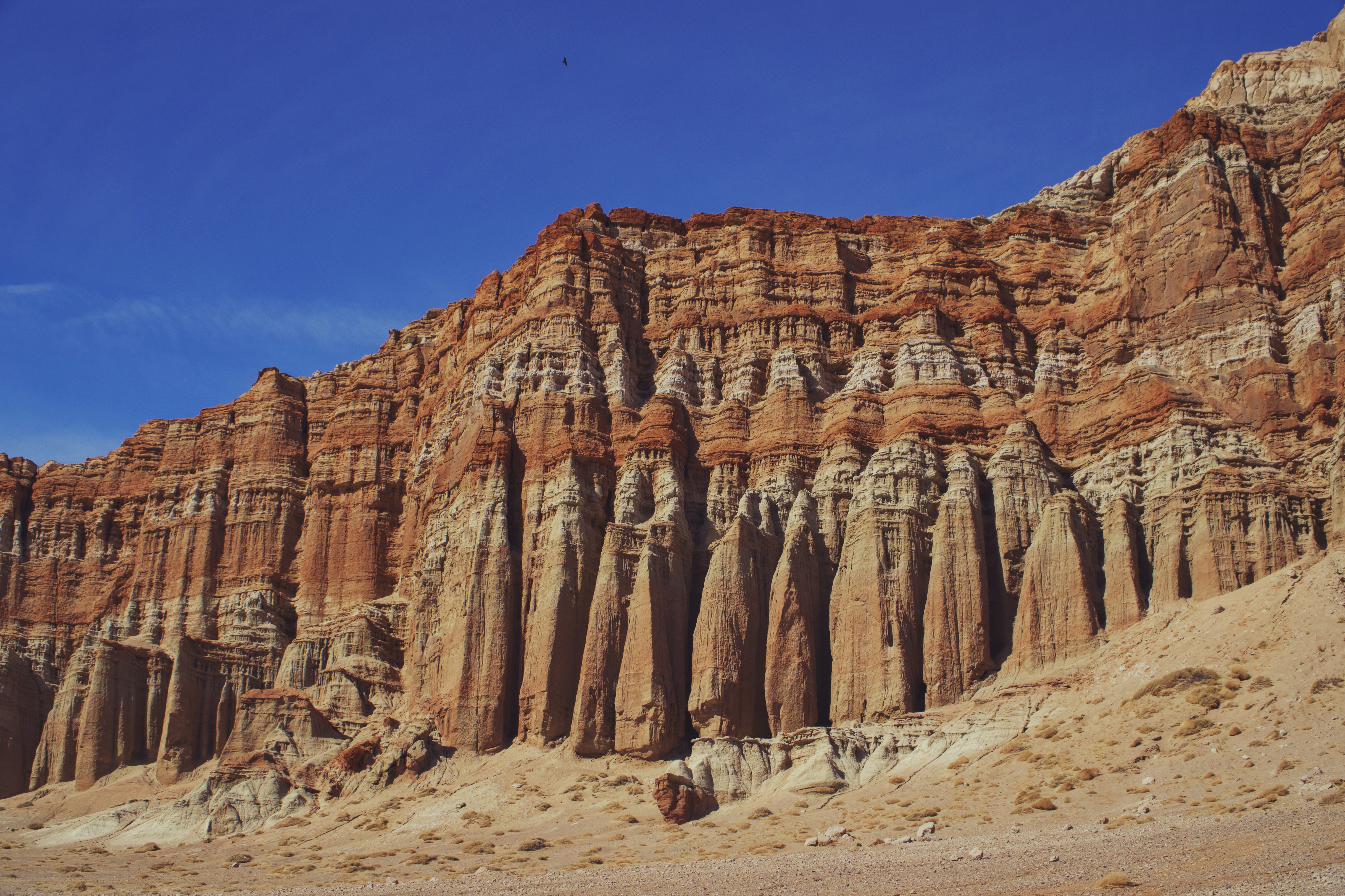 Photo by spencer_demera