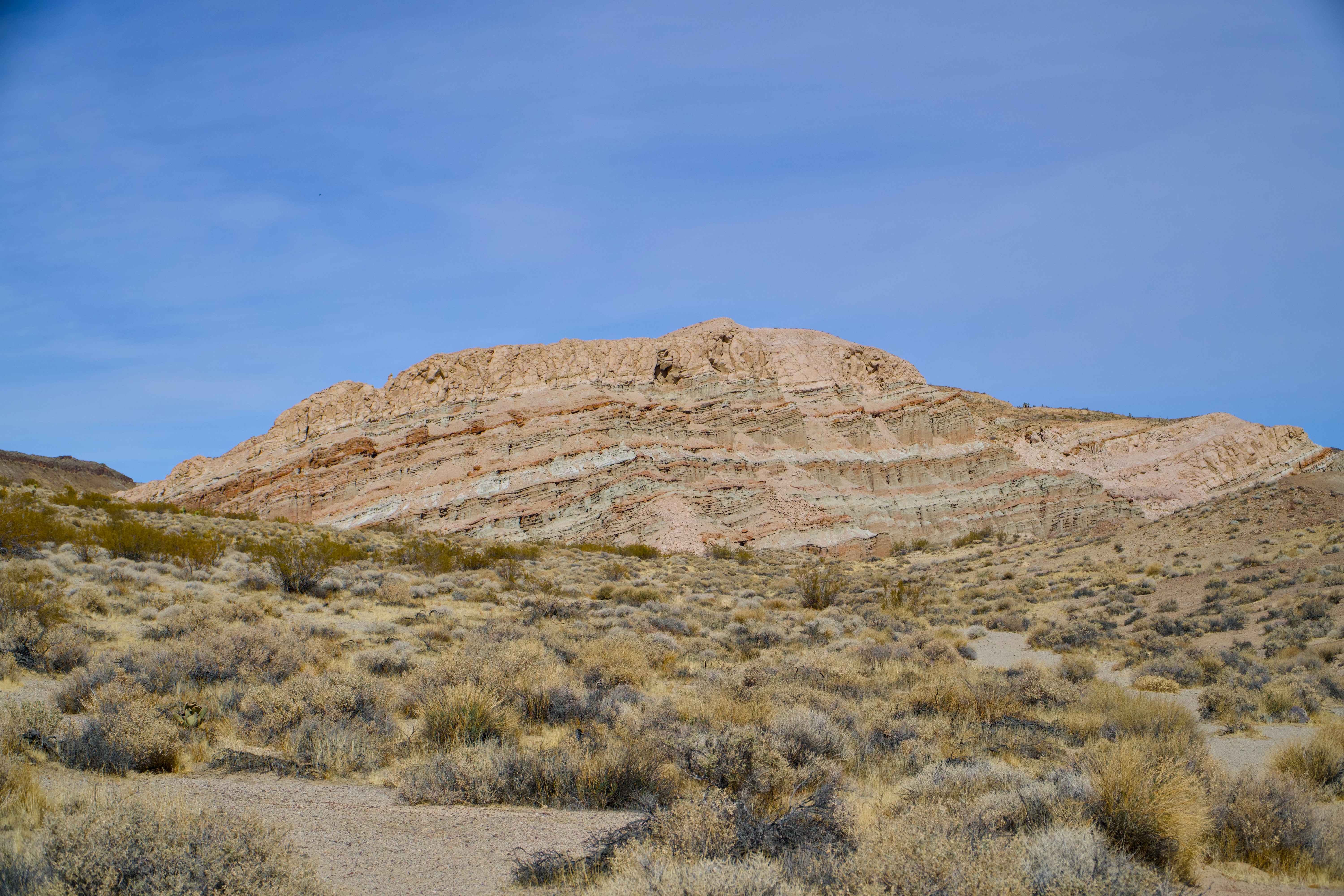 Photo by spencer_demera