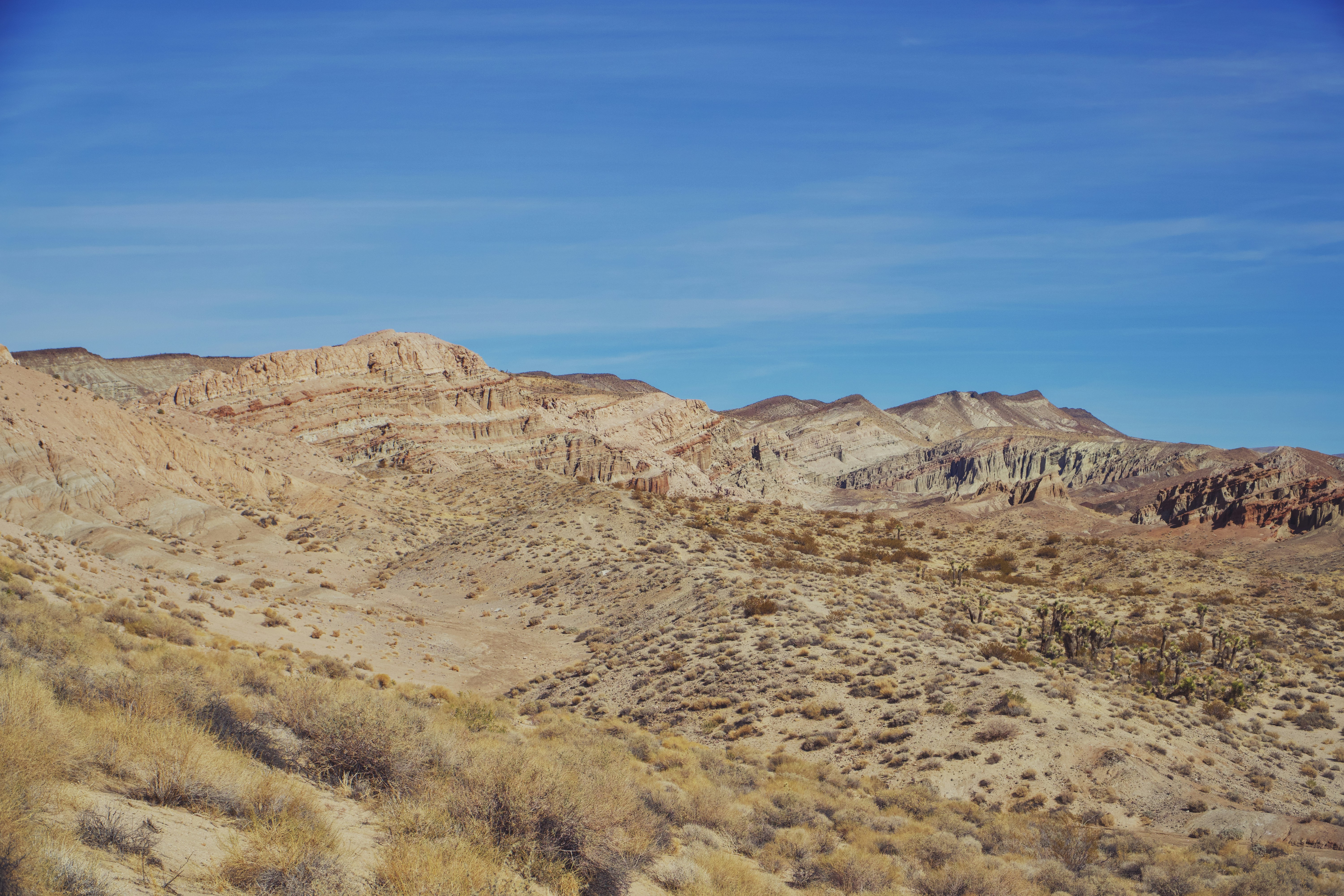 Photo by spencer_demera