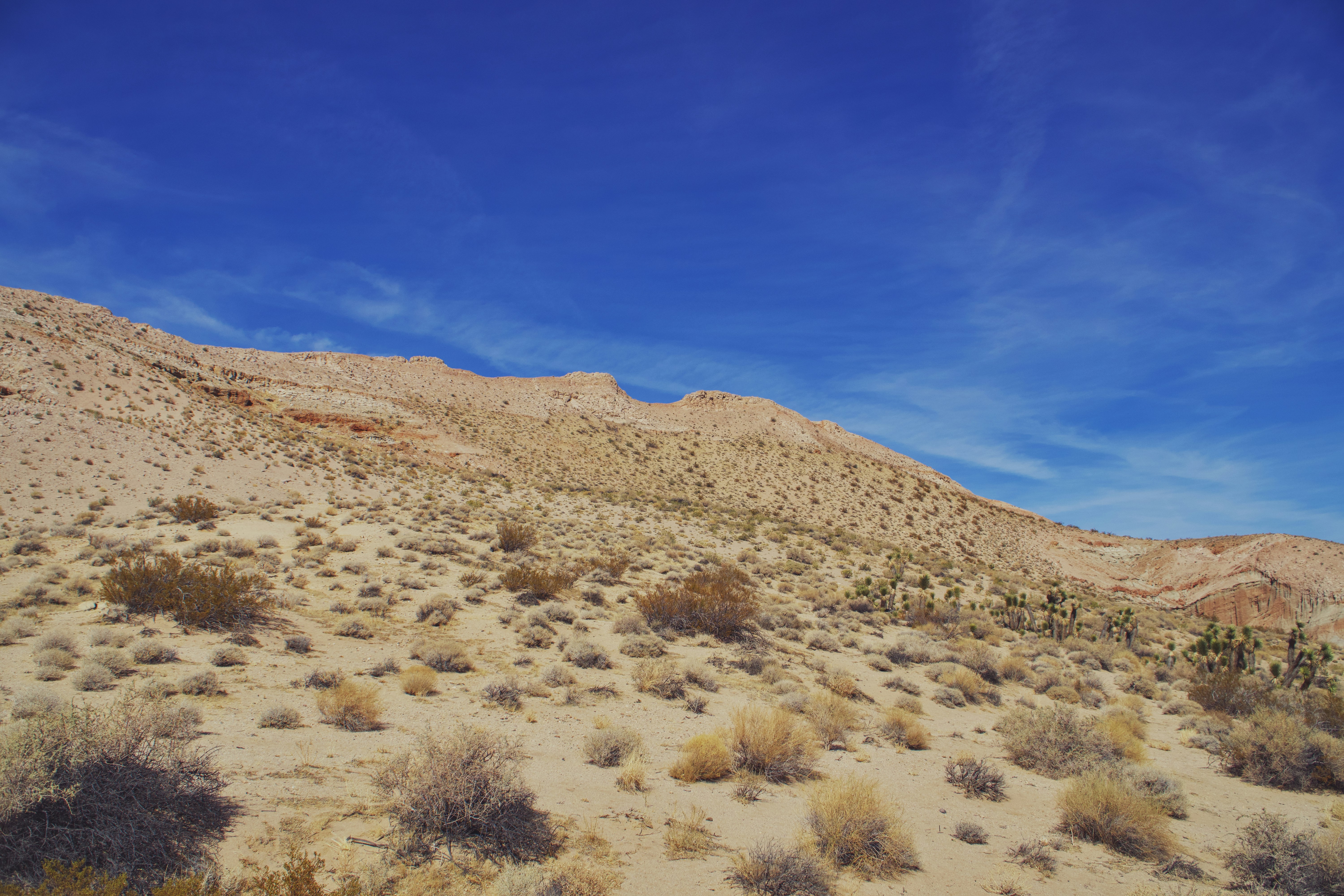 Photo by spencer_demera