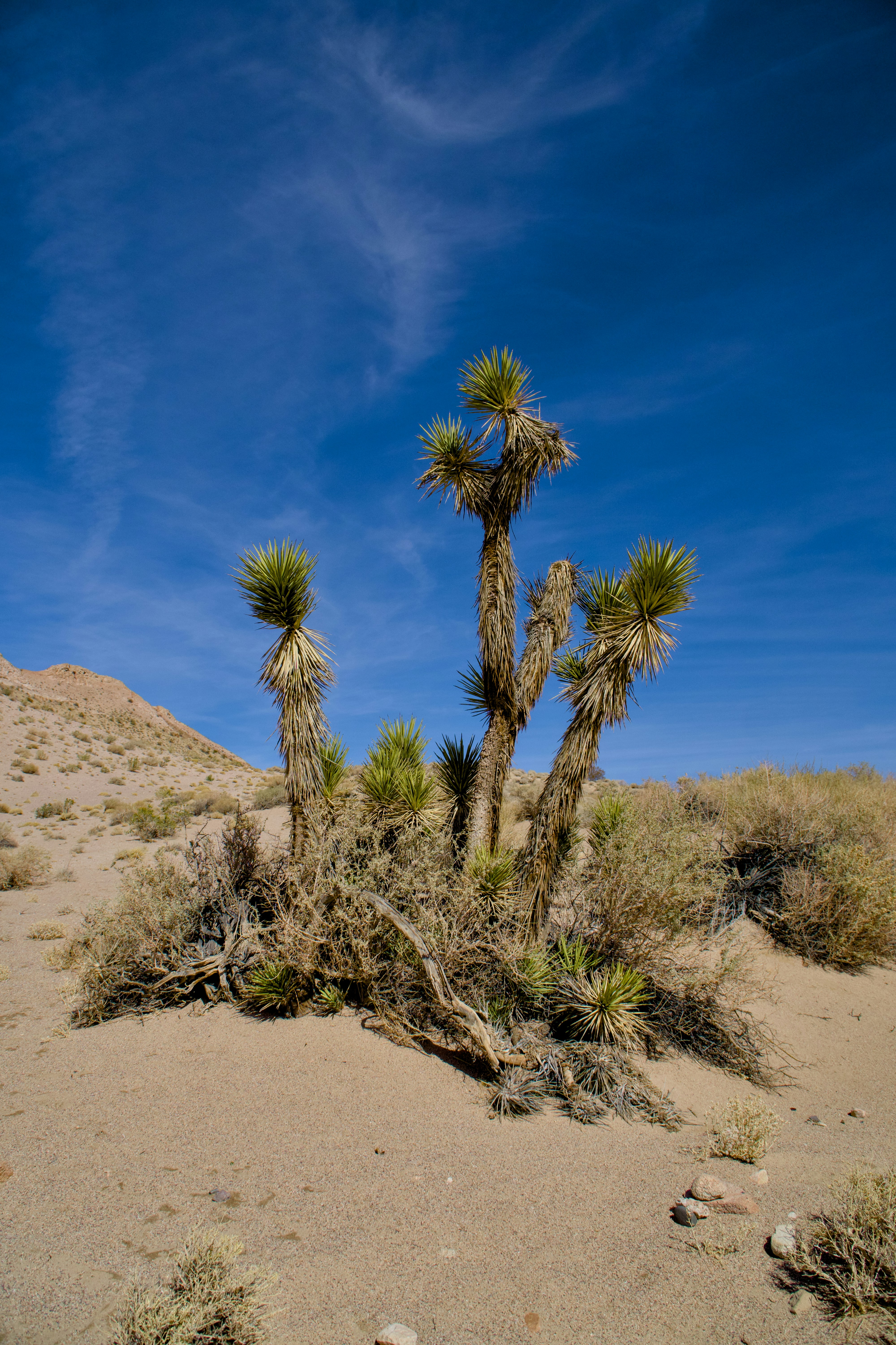 Photo by spencer_demera