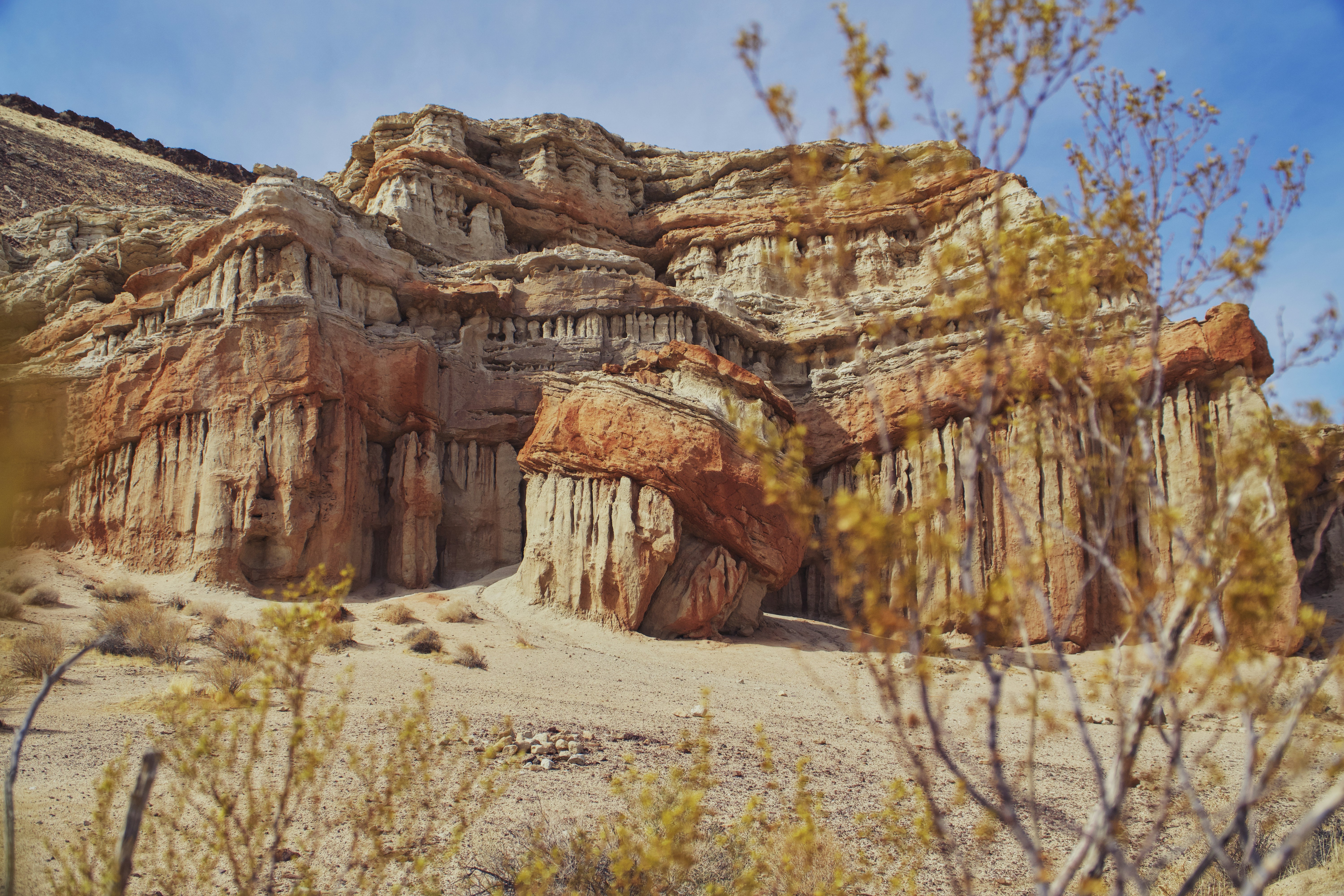 Photo by spencer_demera