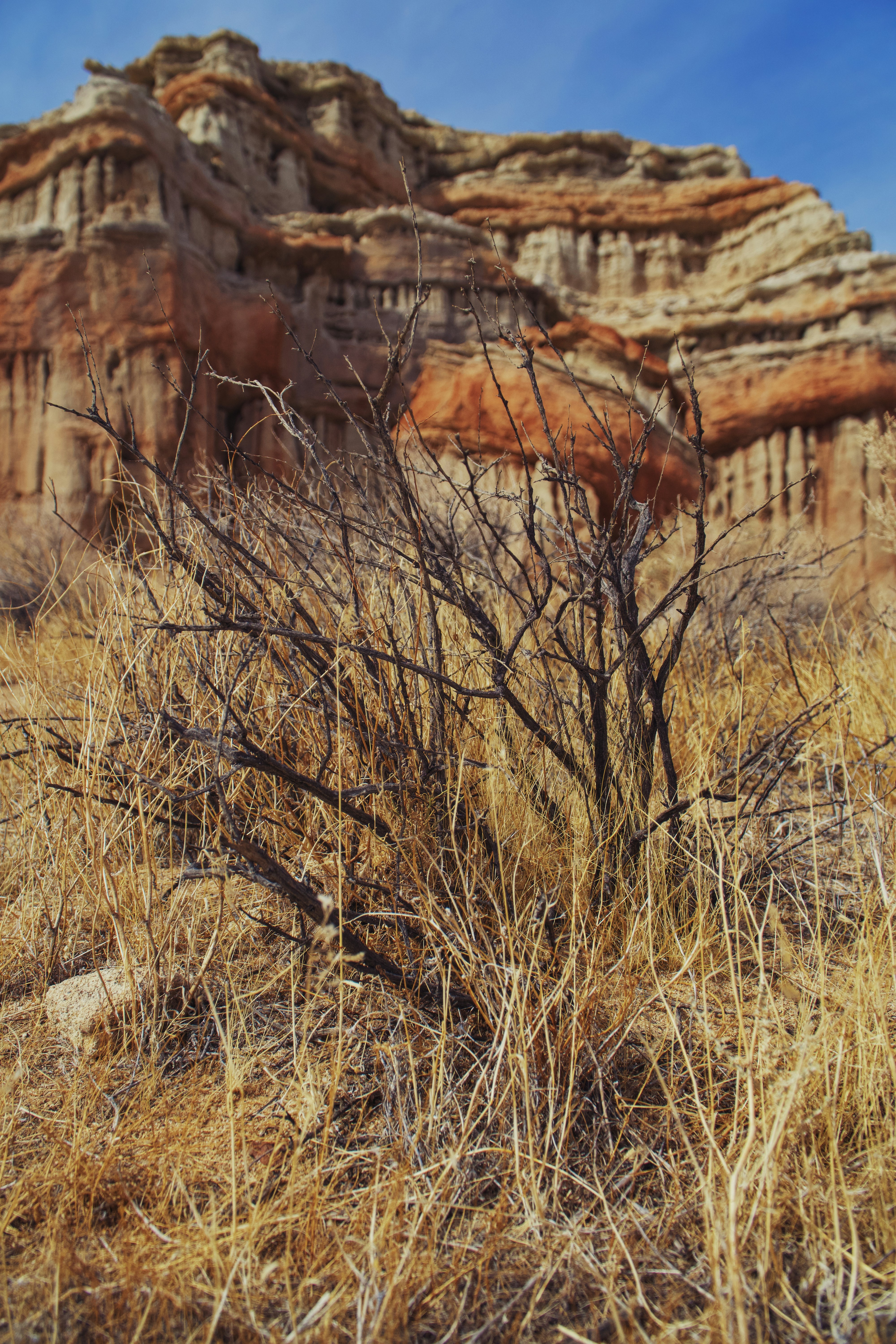 Photo by spencer_demera