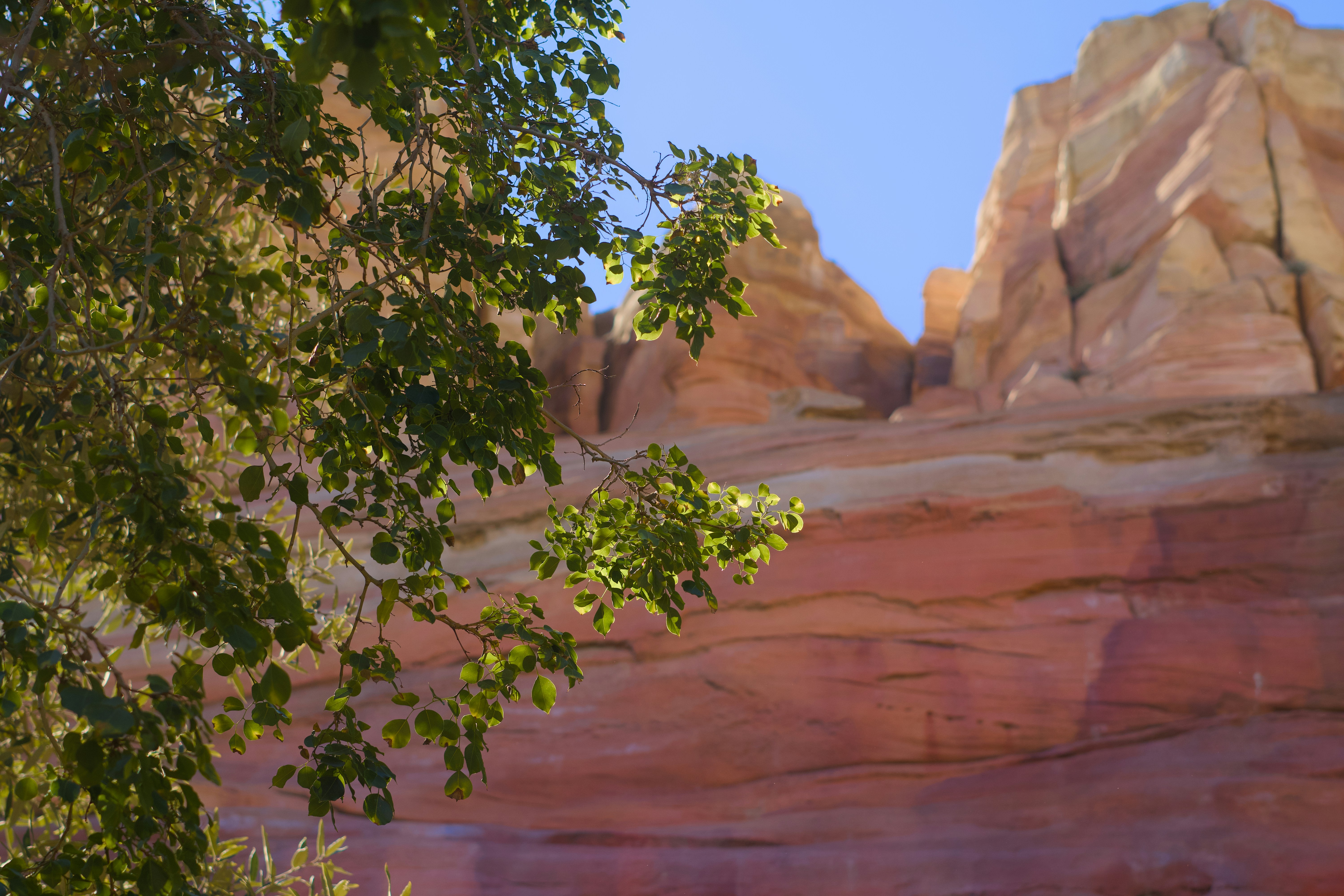 A painting of a rock formation with trees in the foreground
