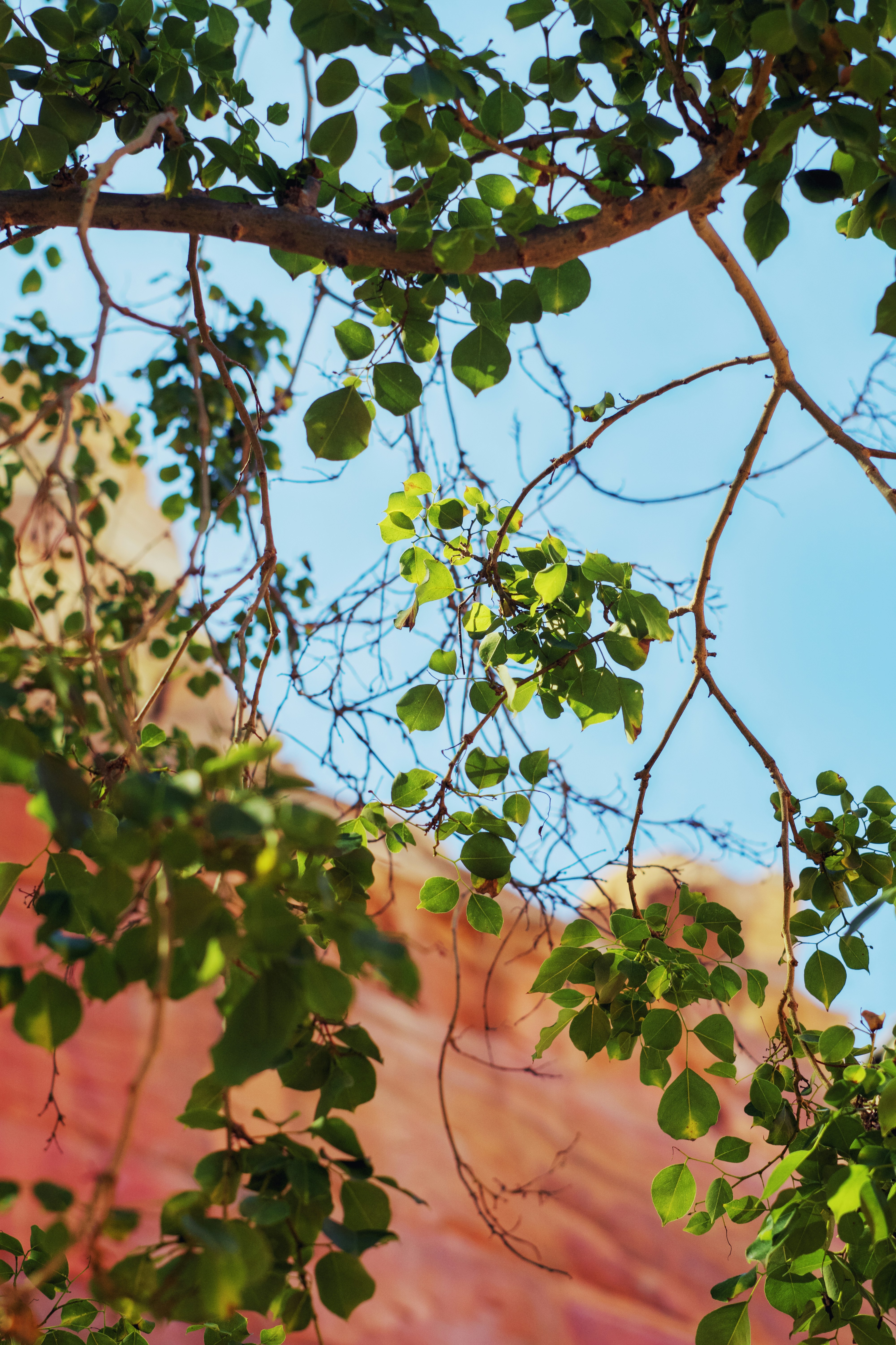 A bird is perched on a tree branch