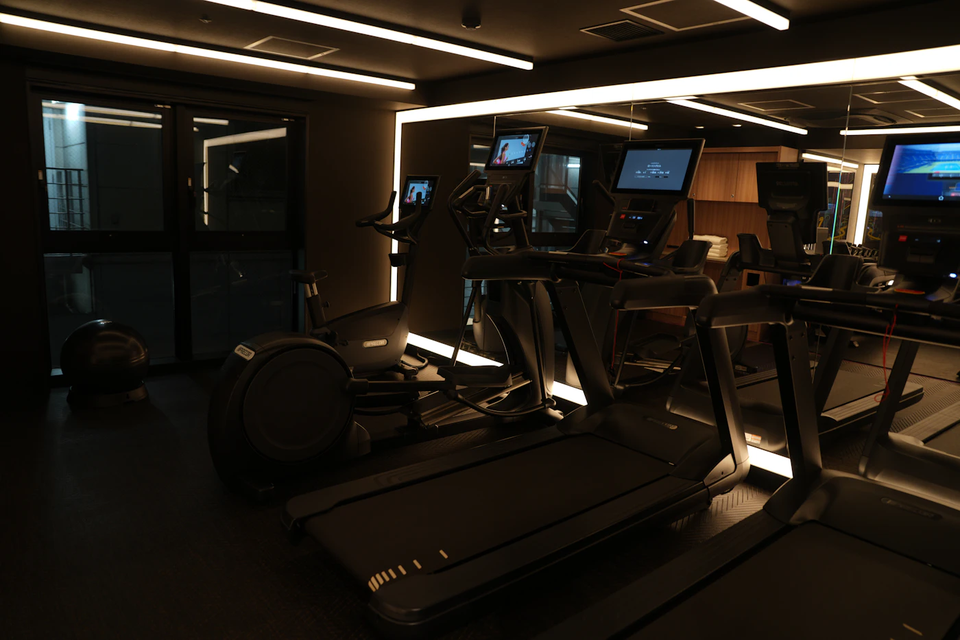The fitness studio, softly lit, with cardio machines and free weights