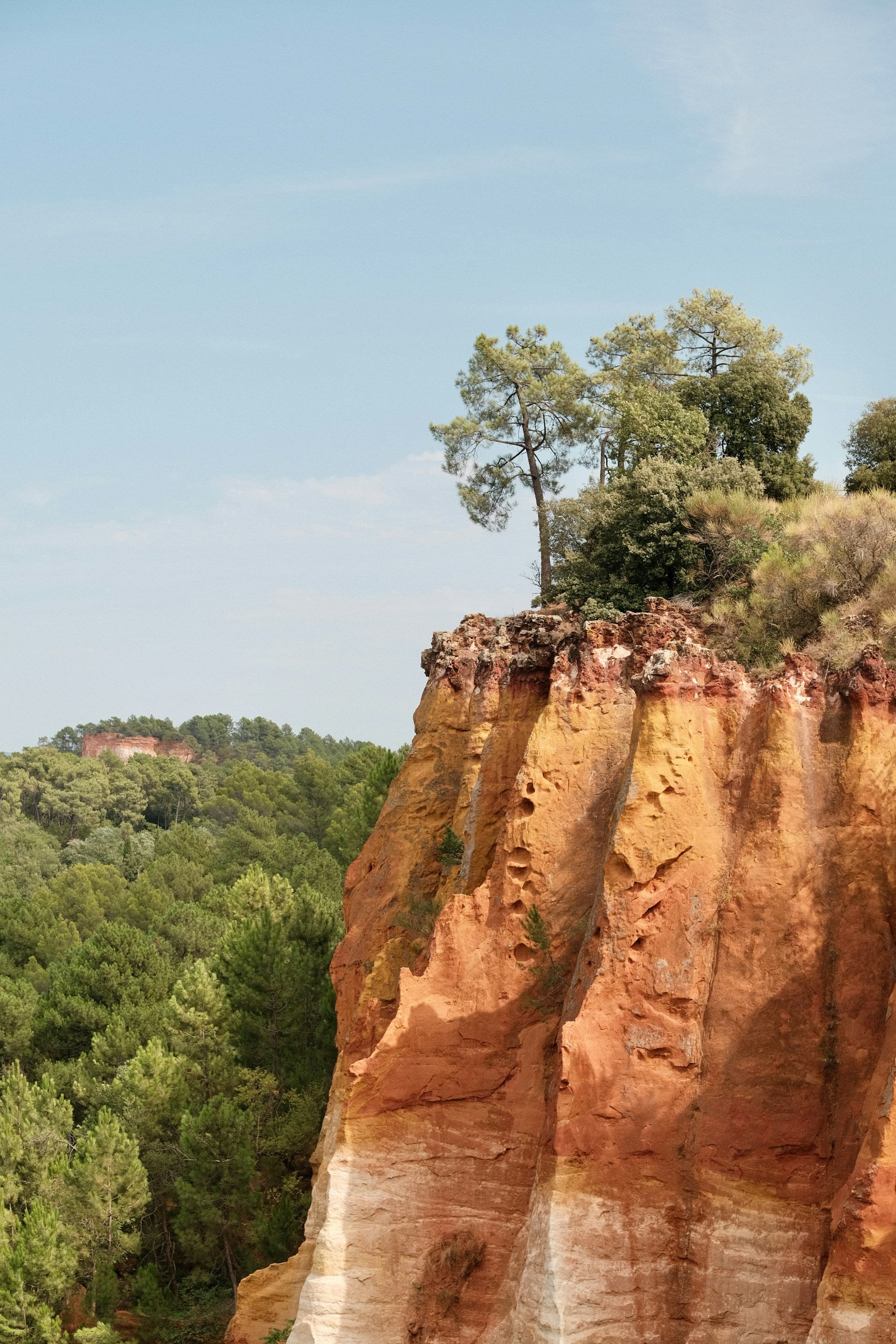 A cliff with a tree on top of it