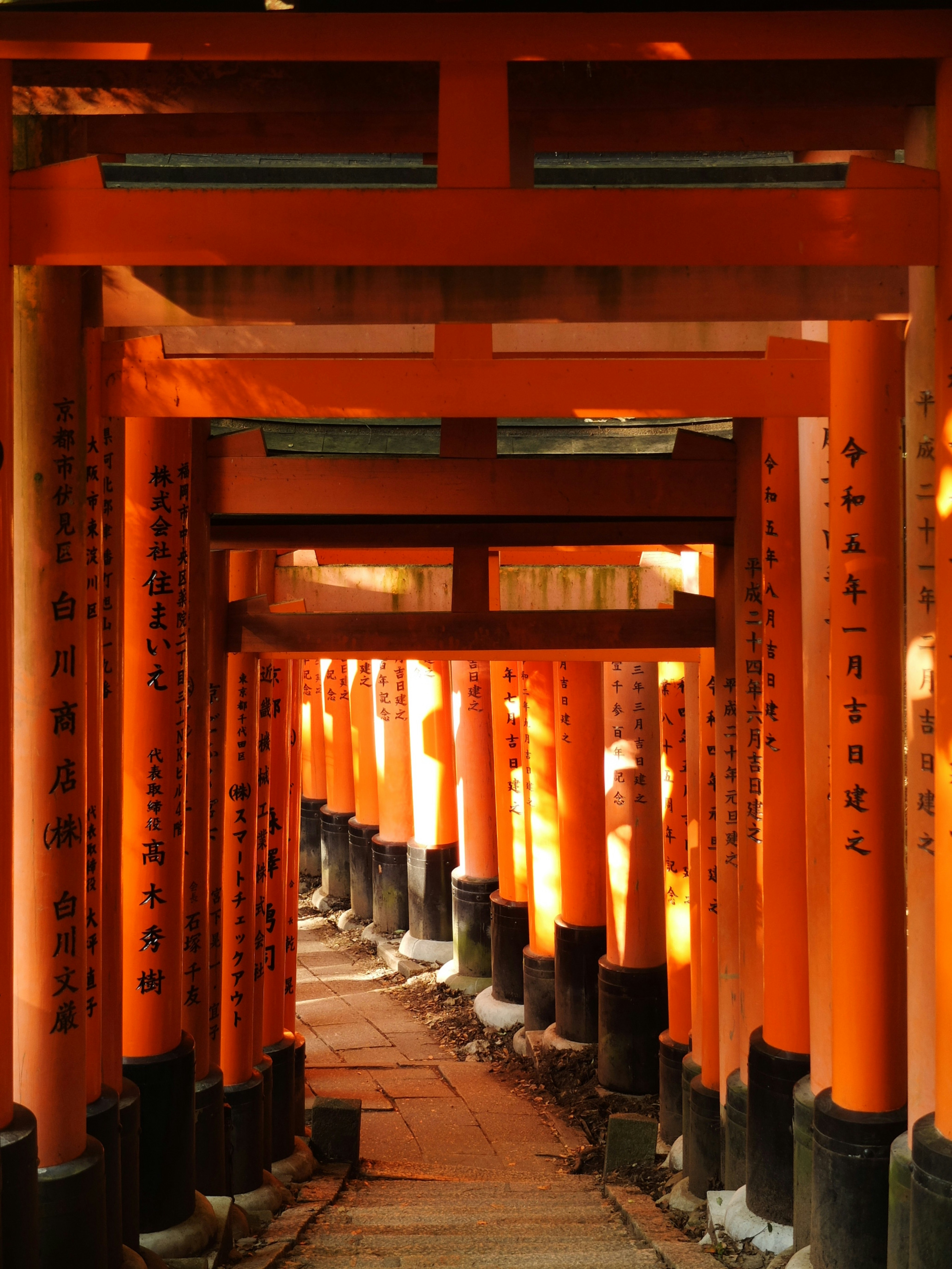 Photo by ninapendragon