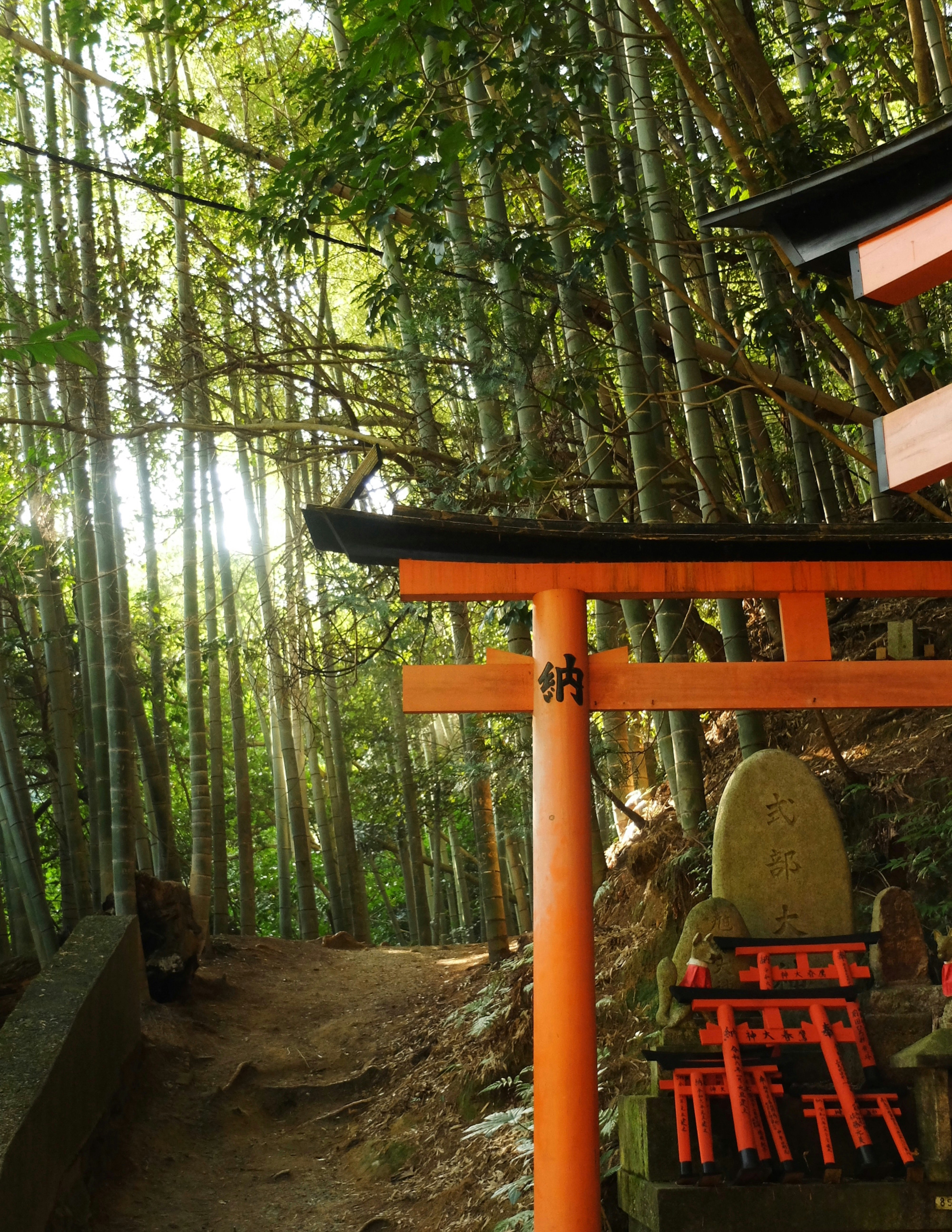 Photo by ninapendragon