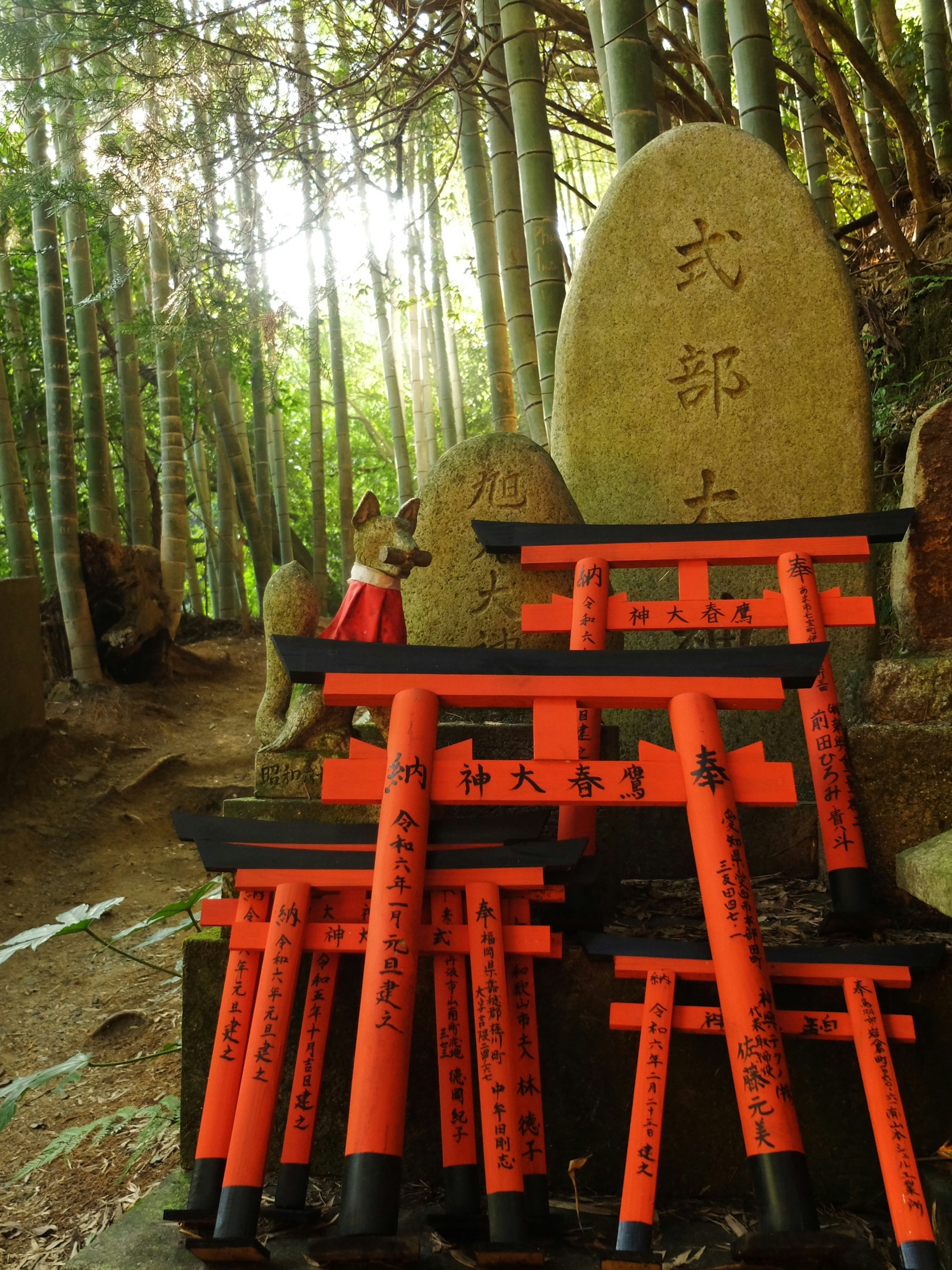 A group of orange tori tori tori tori tori tori tori tori tori tori tori tori