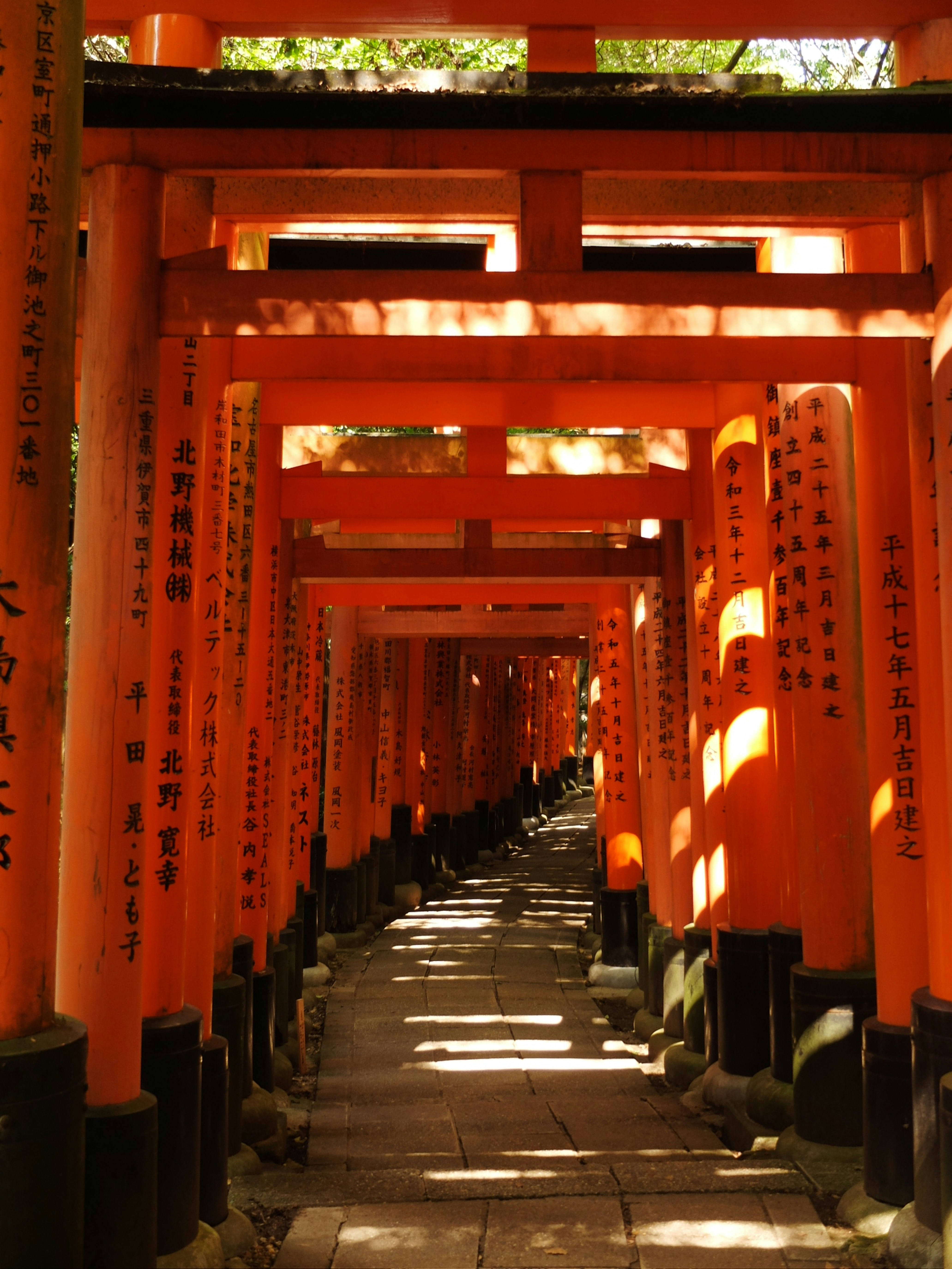 Photo by ninapendragon