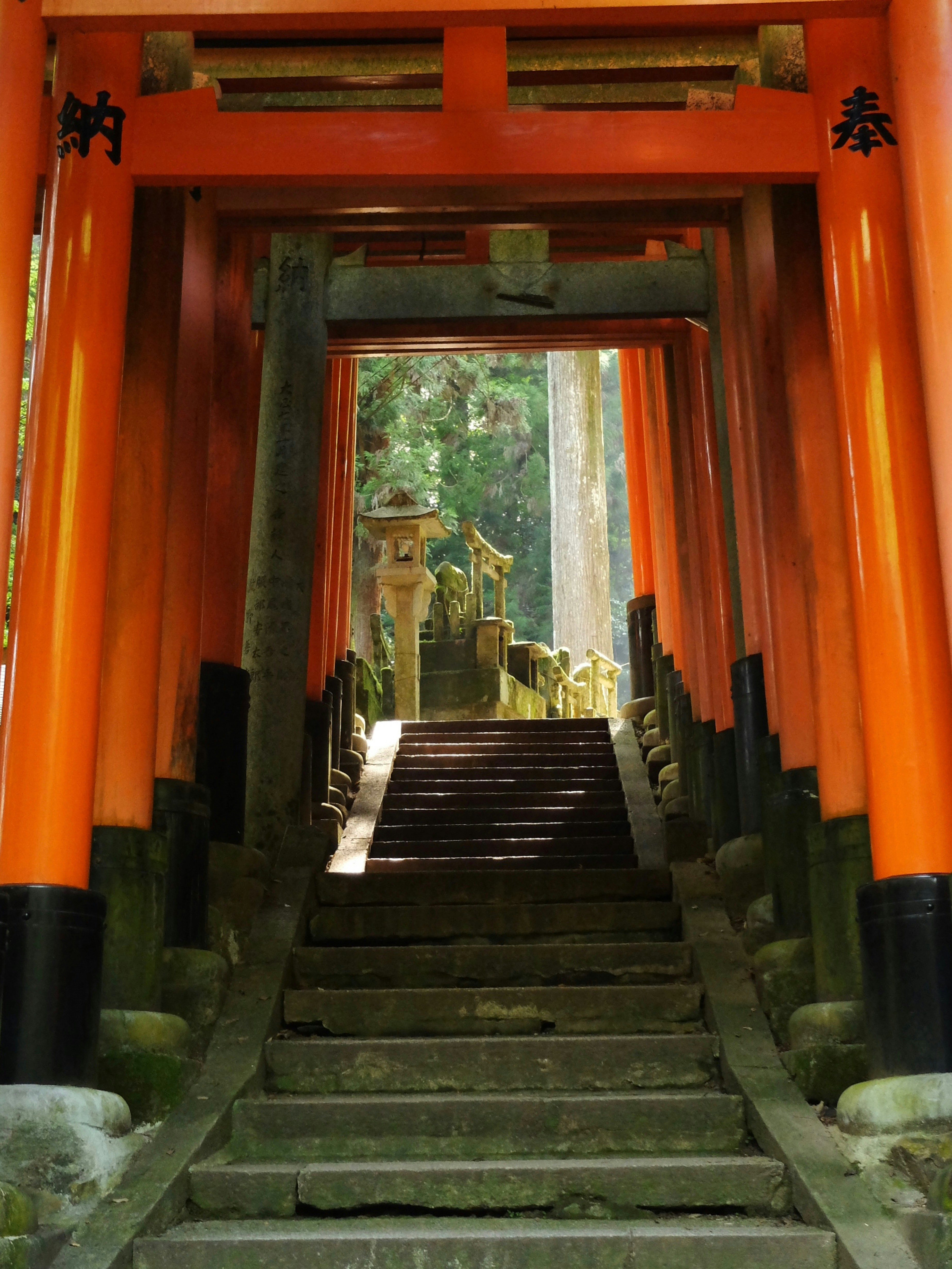 Photo by ninapendragon