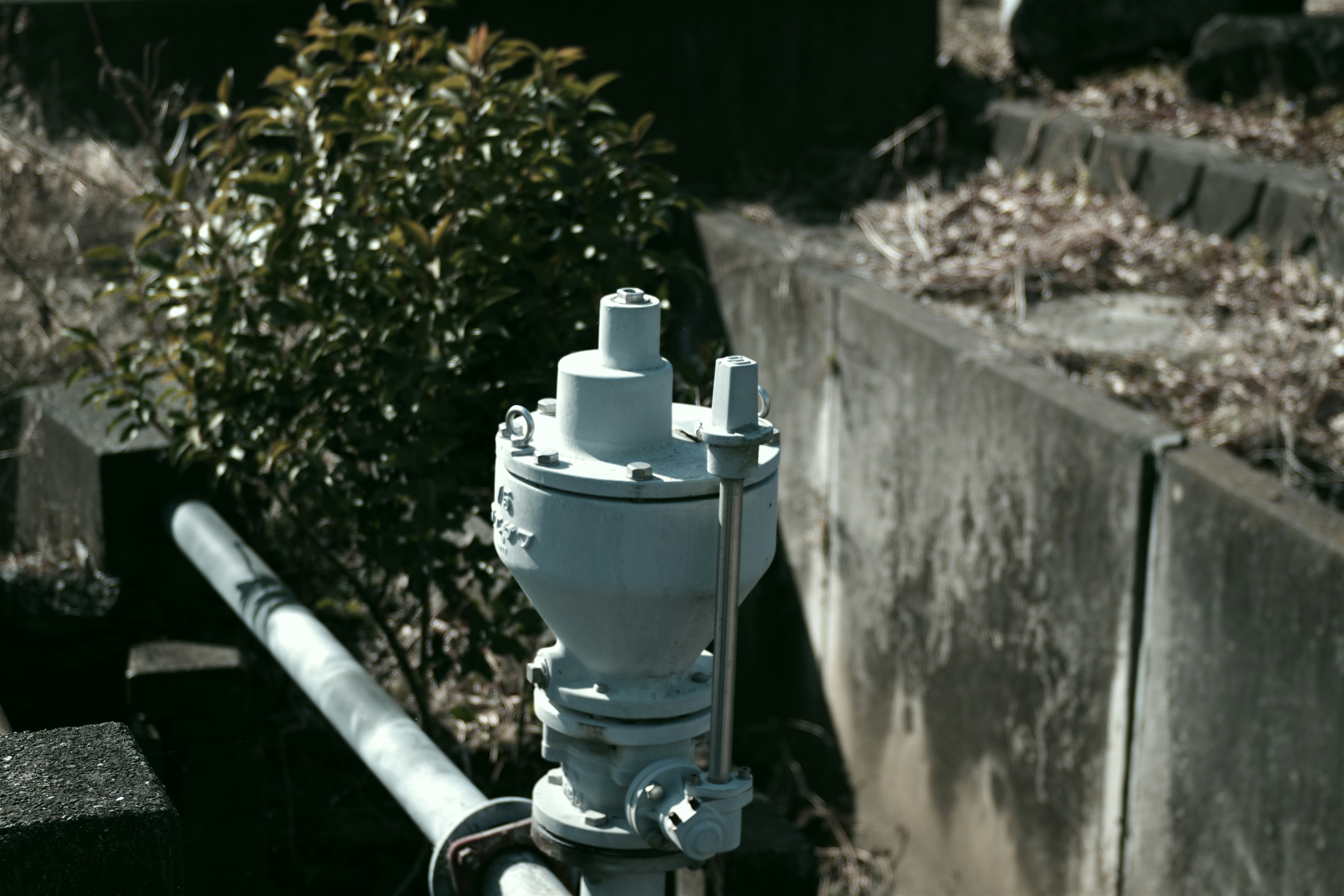 A white fire hydrant sitting next to a cement wall