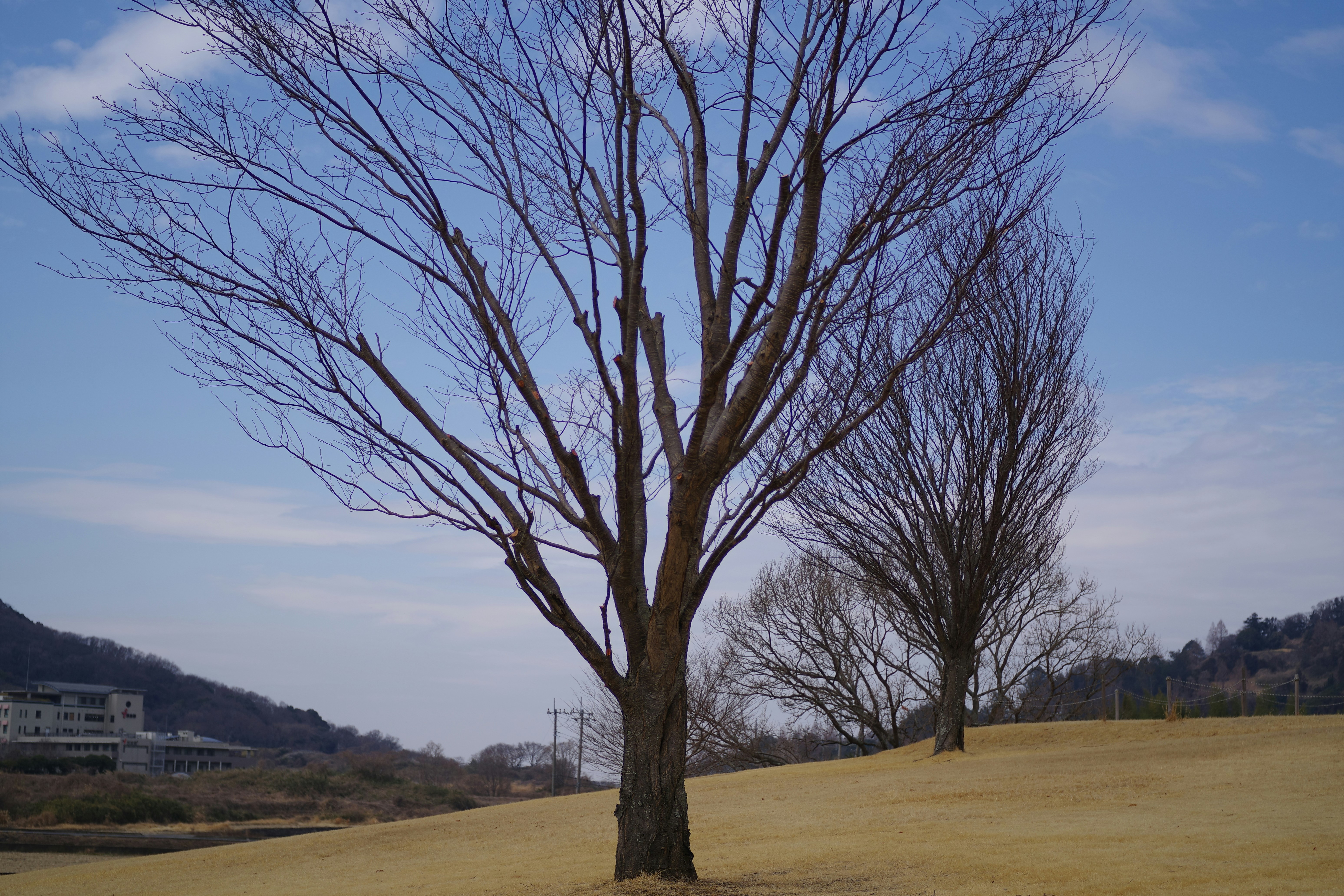 Photo by naopp