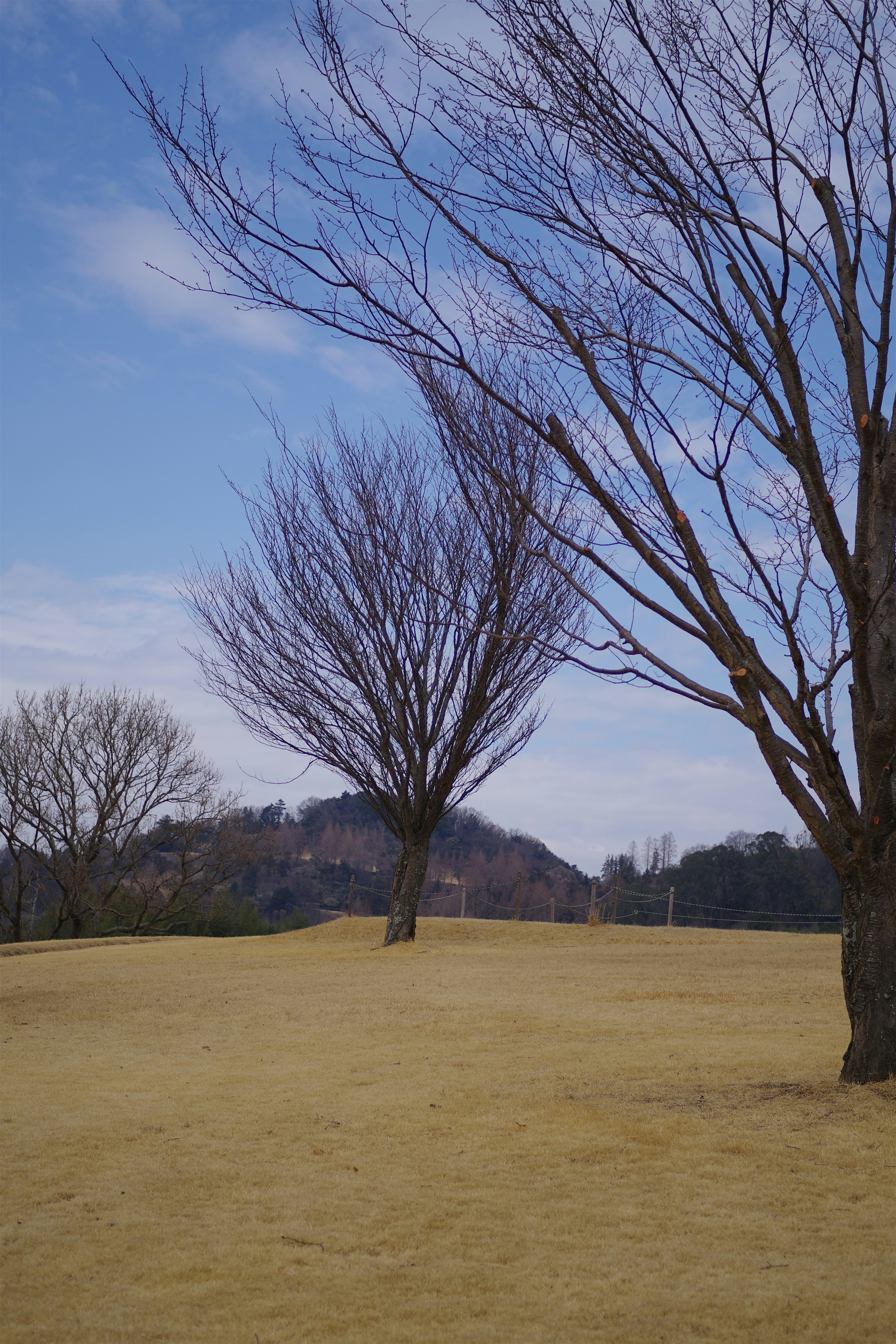 Photo by naopp