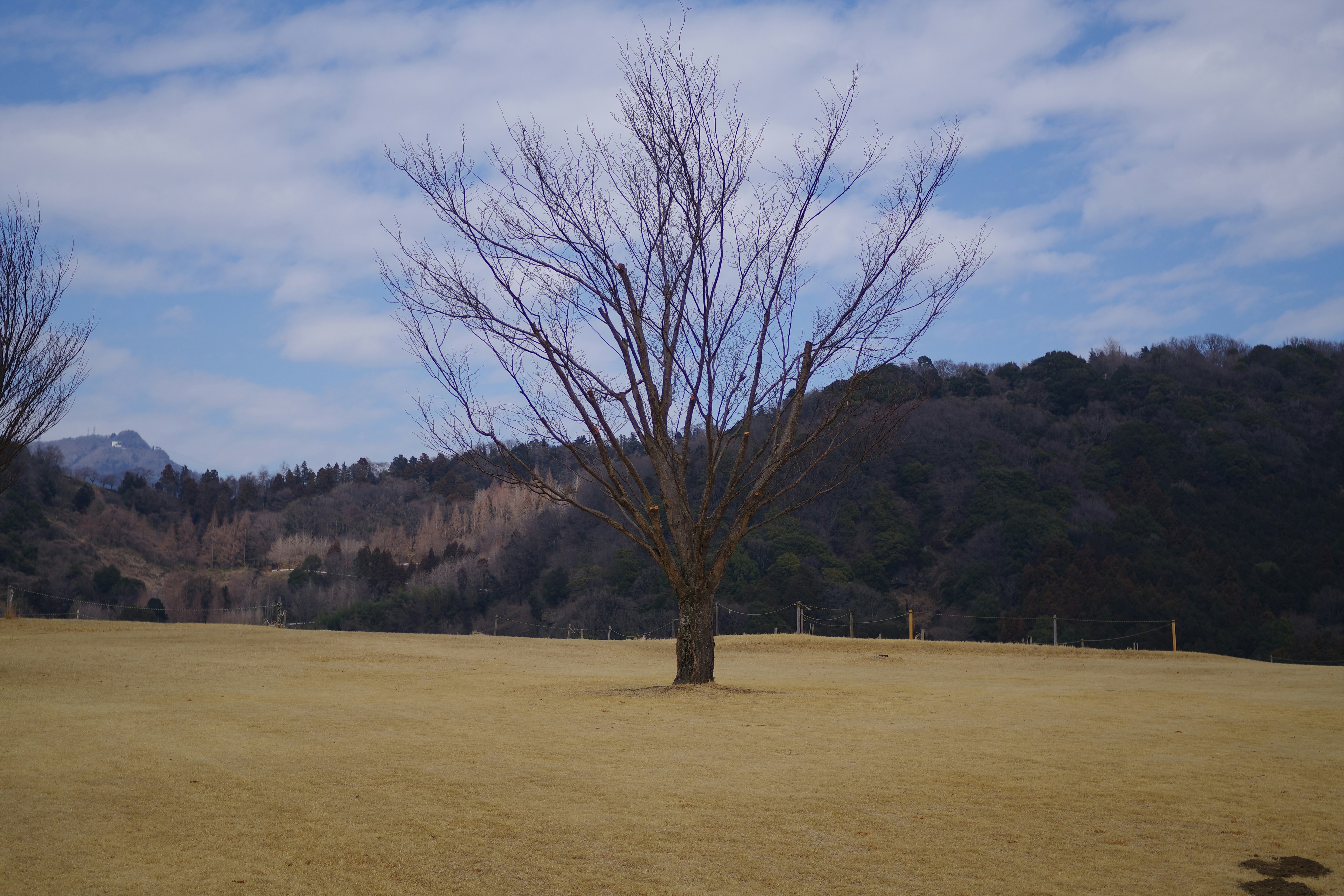 Oak Ridge Golf Course