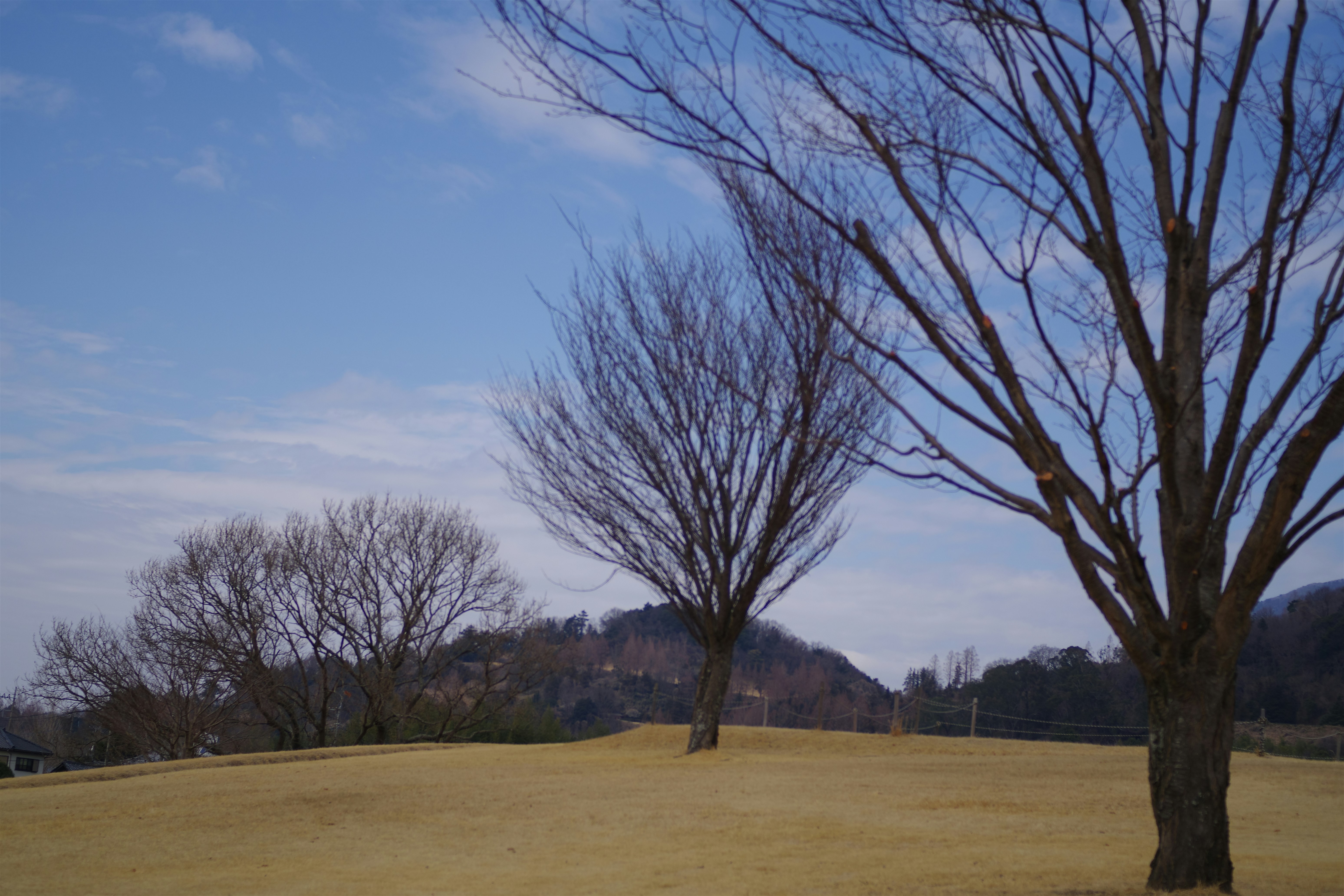 Photo by naopp