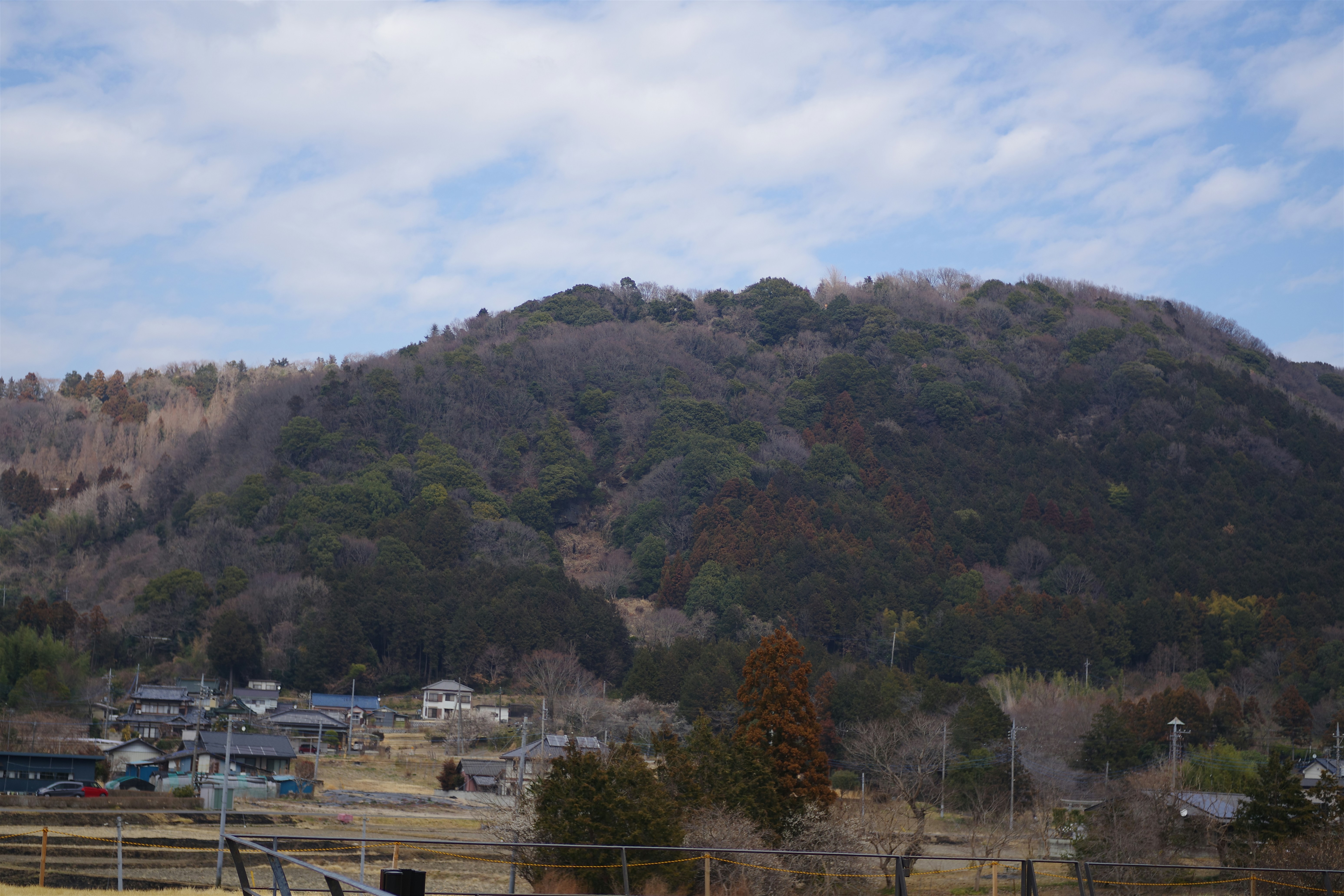 Photo by naopp