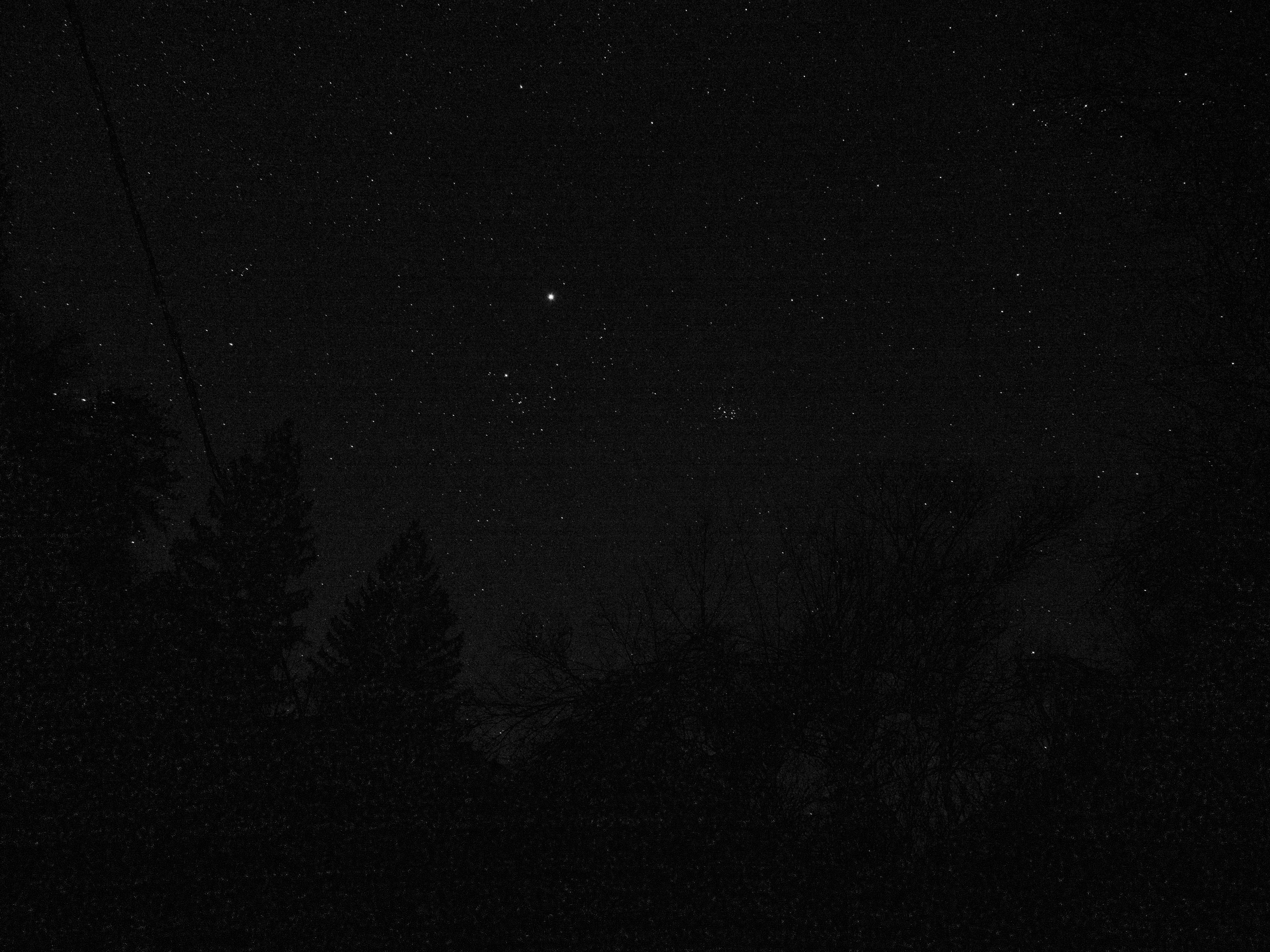 Photo by gopitri_prem