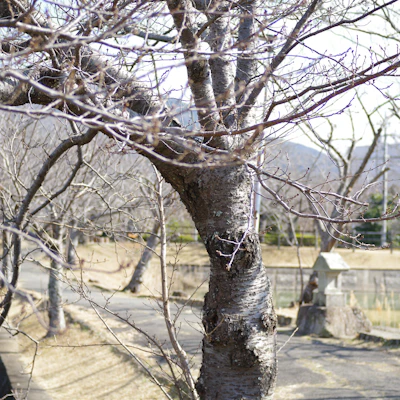 활기삼