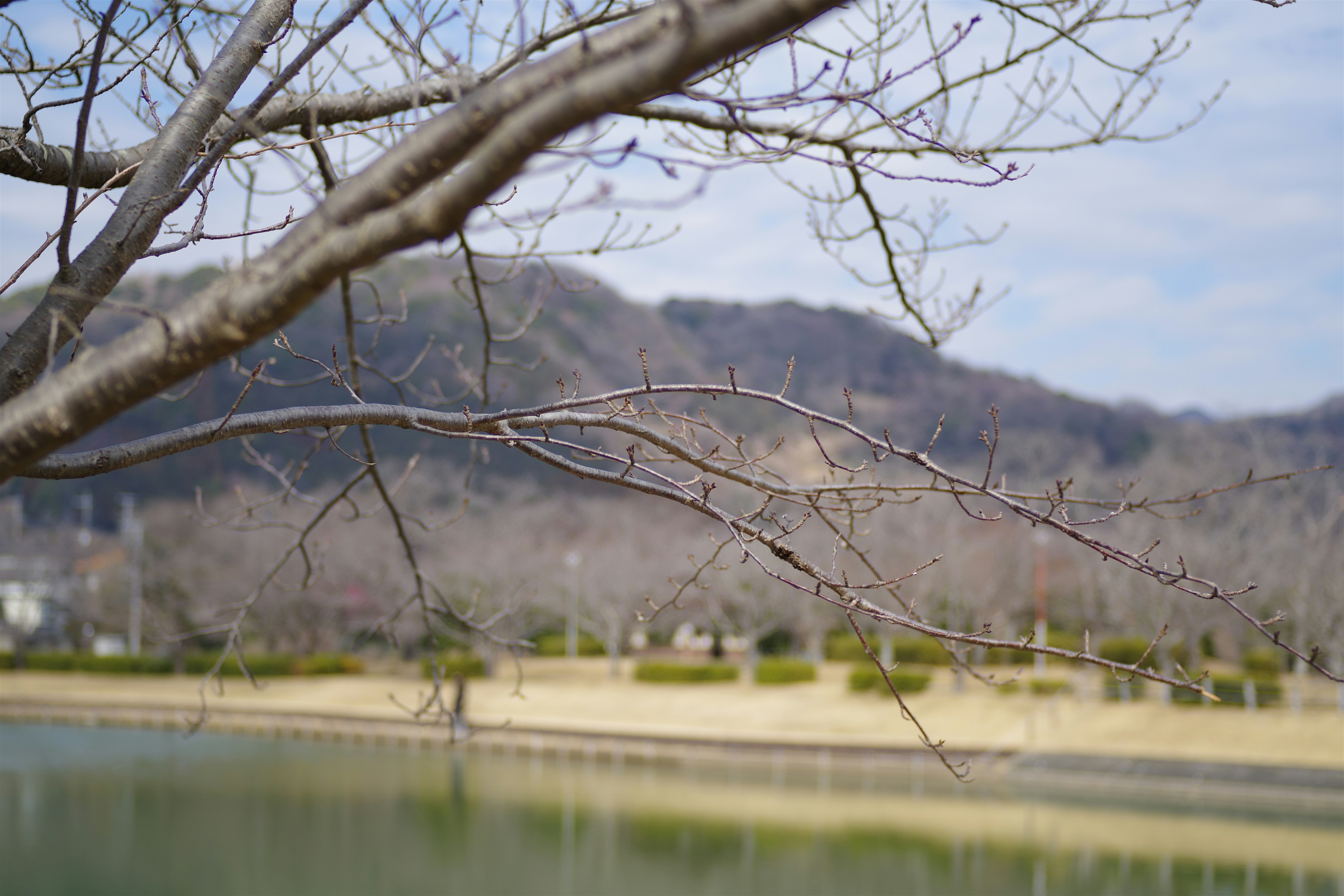 Photo by naopp