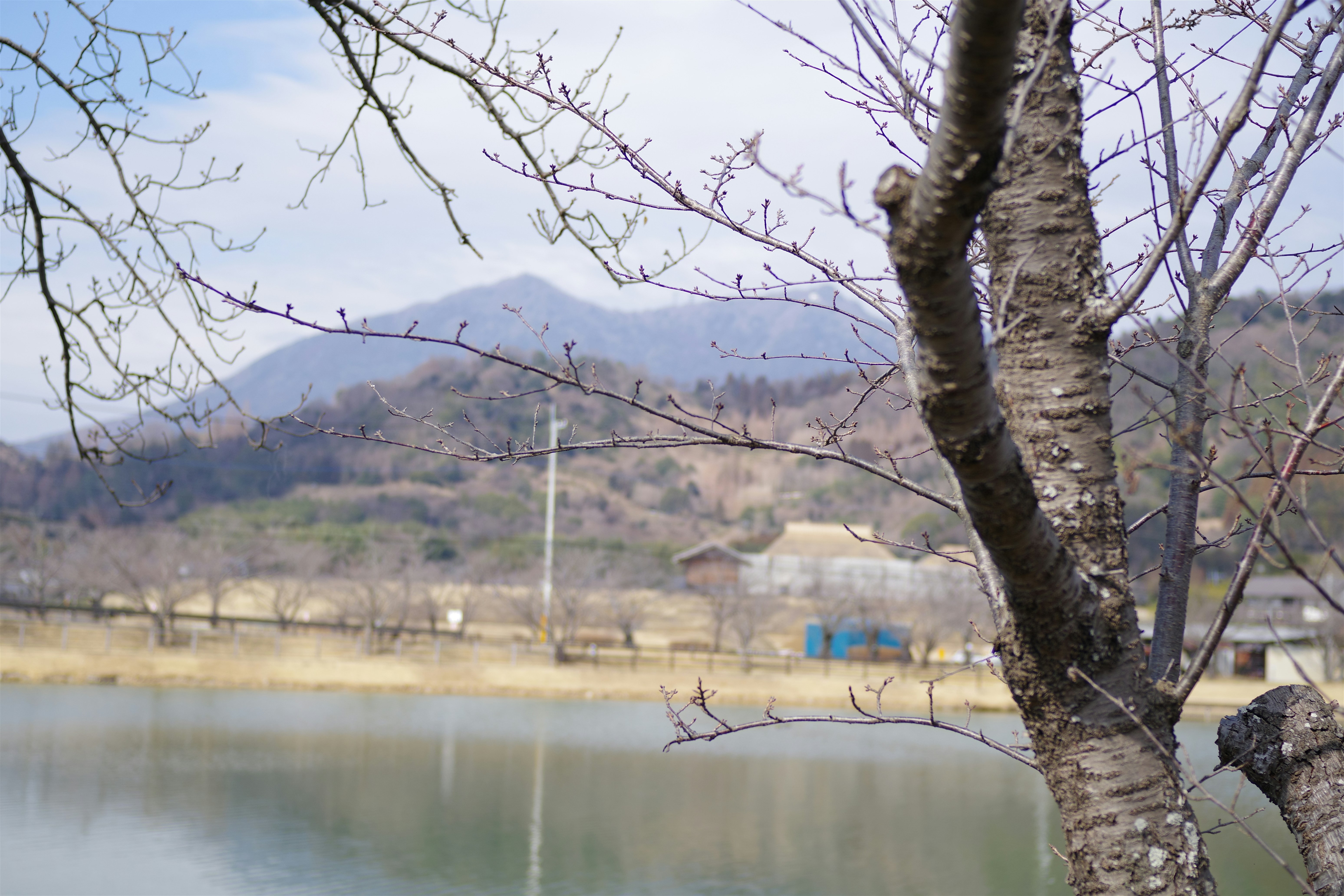Photo by naopp