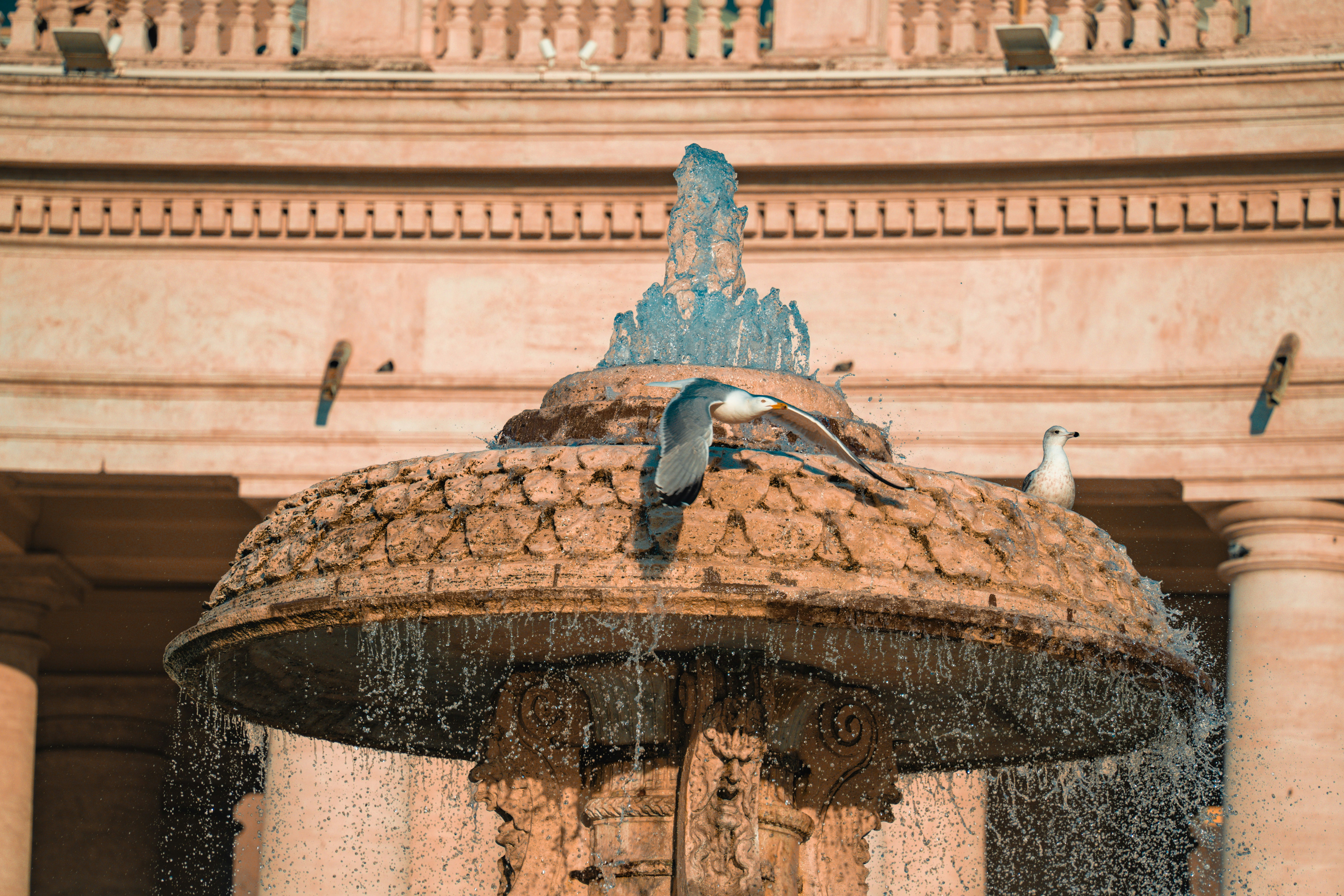 A fountain with birds sitting on top of it
