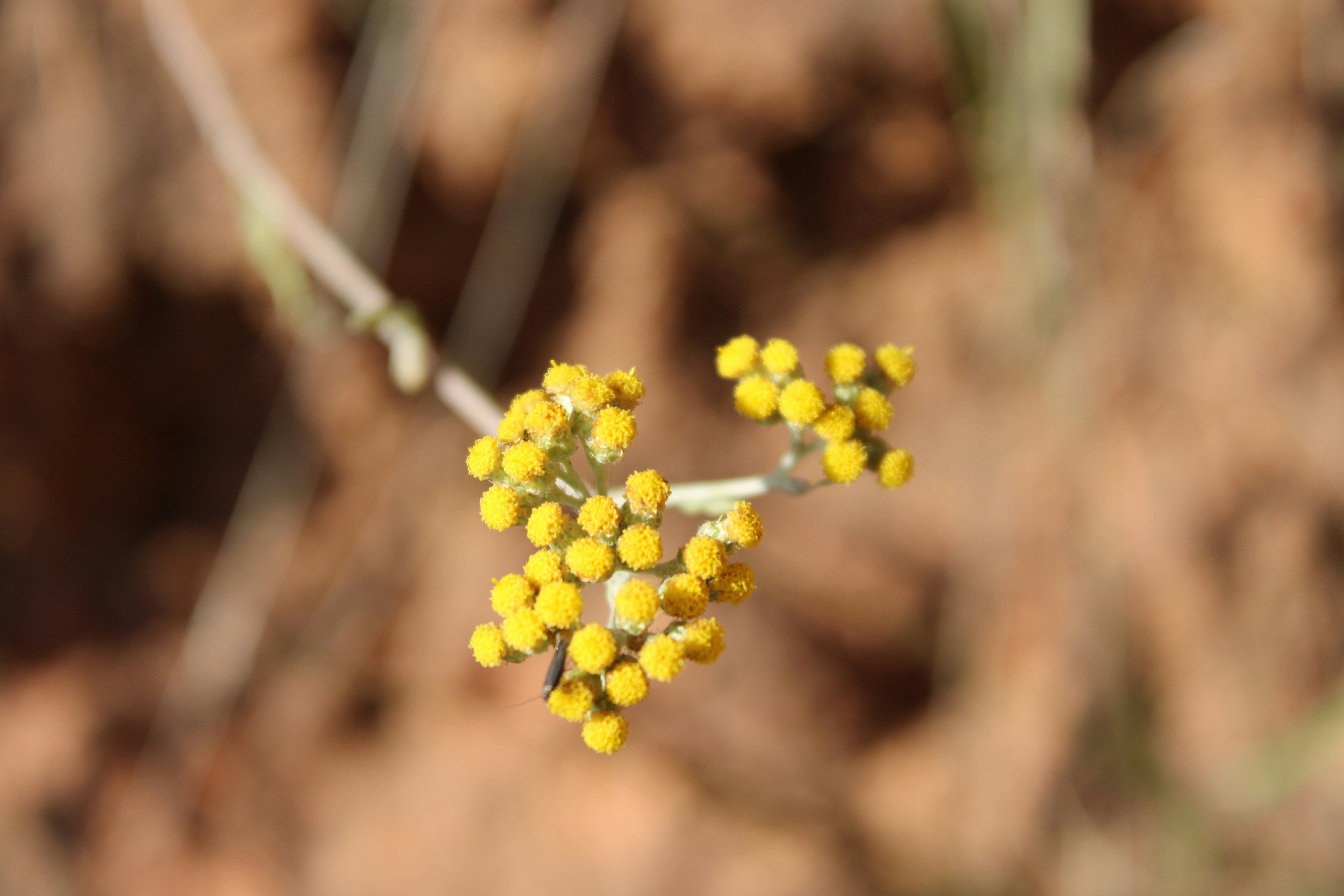 Photo by wheeledflow